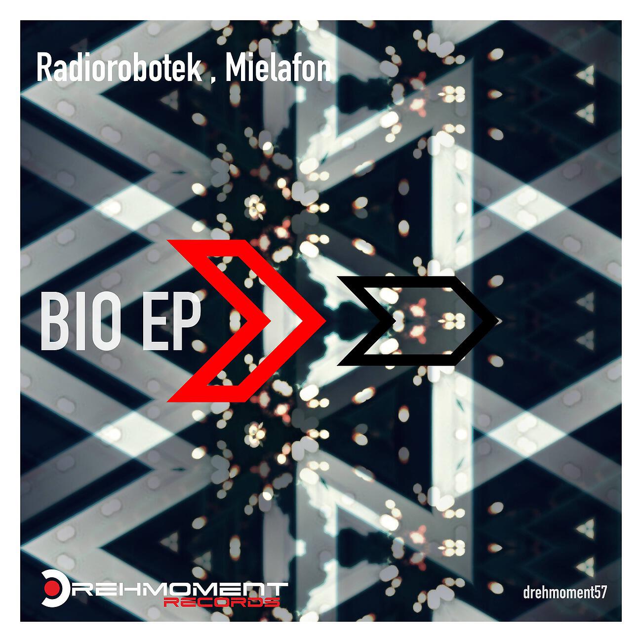 Radiorobotek - DHP