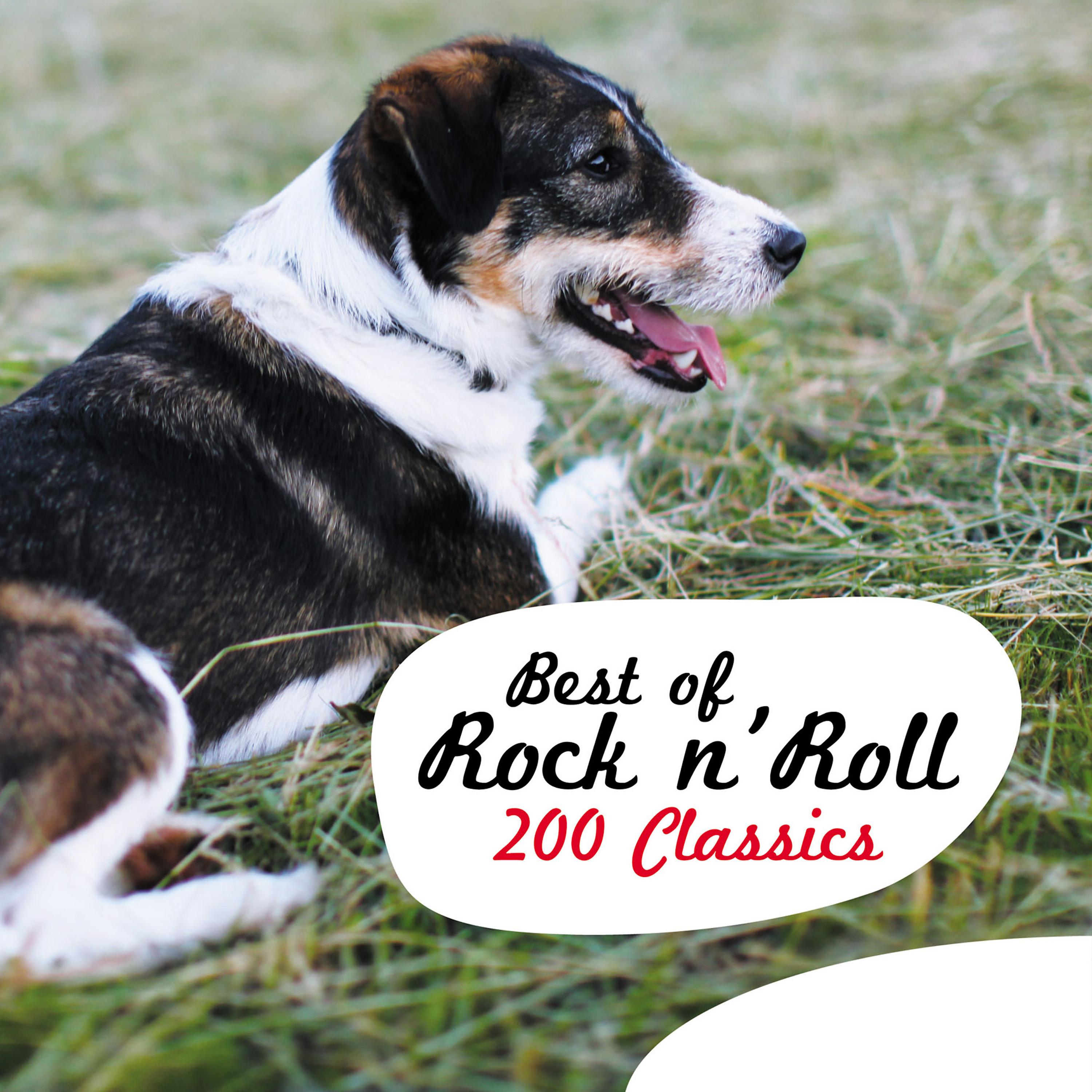 Постер альбома Best of Rock N' Roll - 200 Classics
