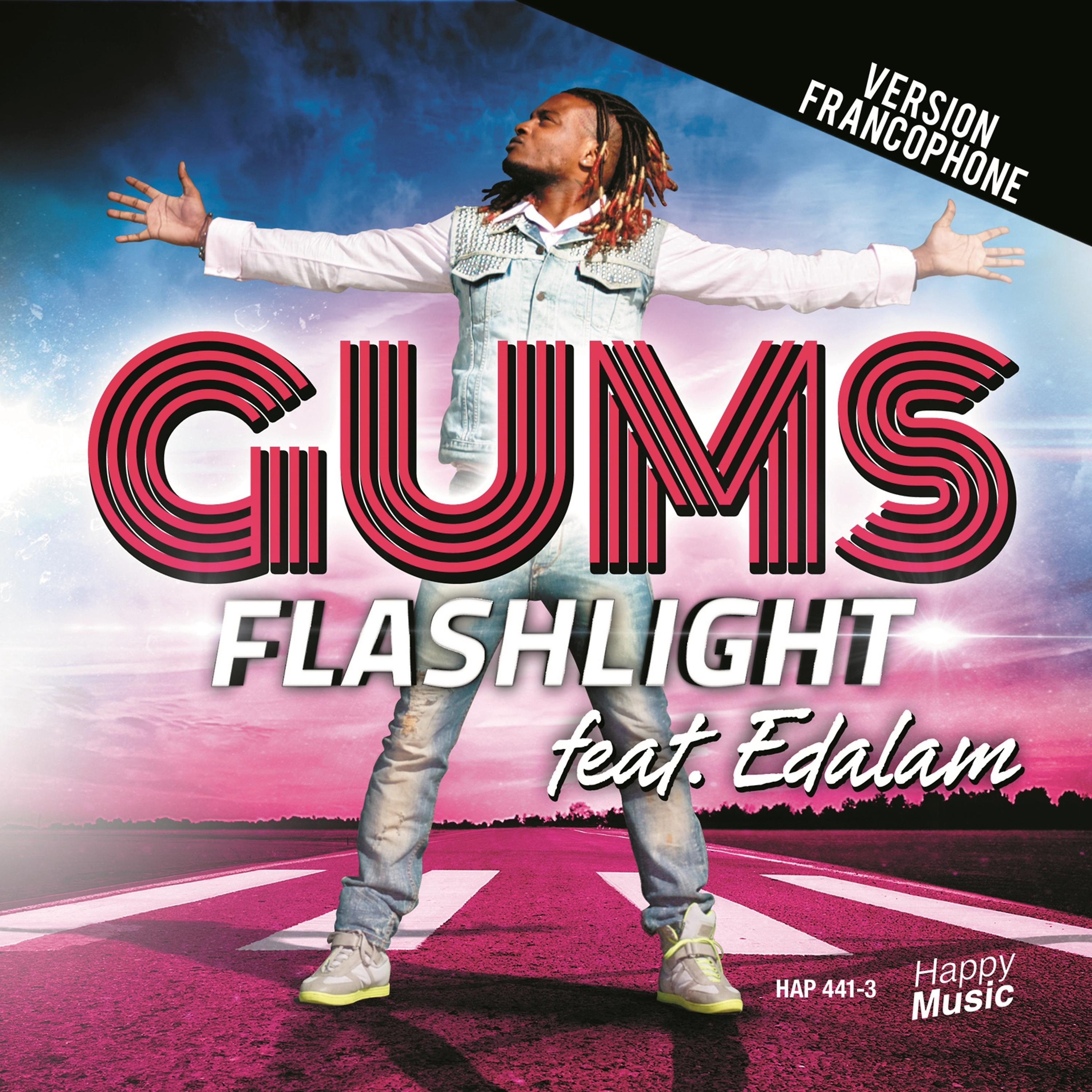 Постер альбома Flashlight - Single (Radio Mix] [Version Francophone)