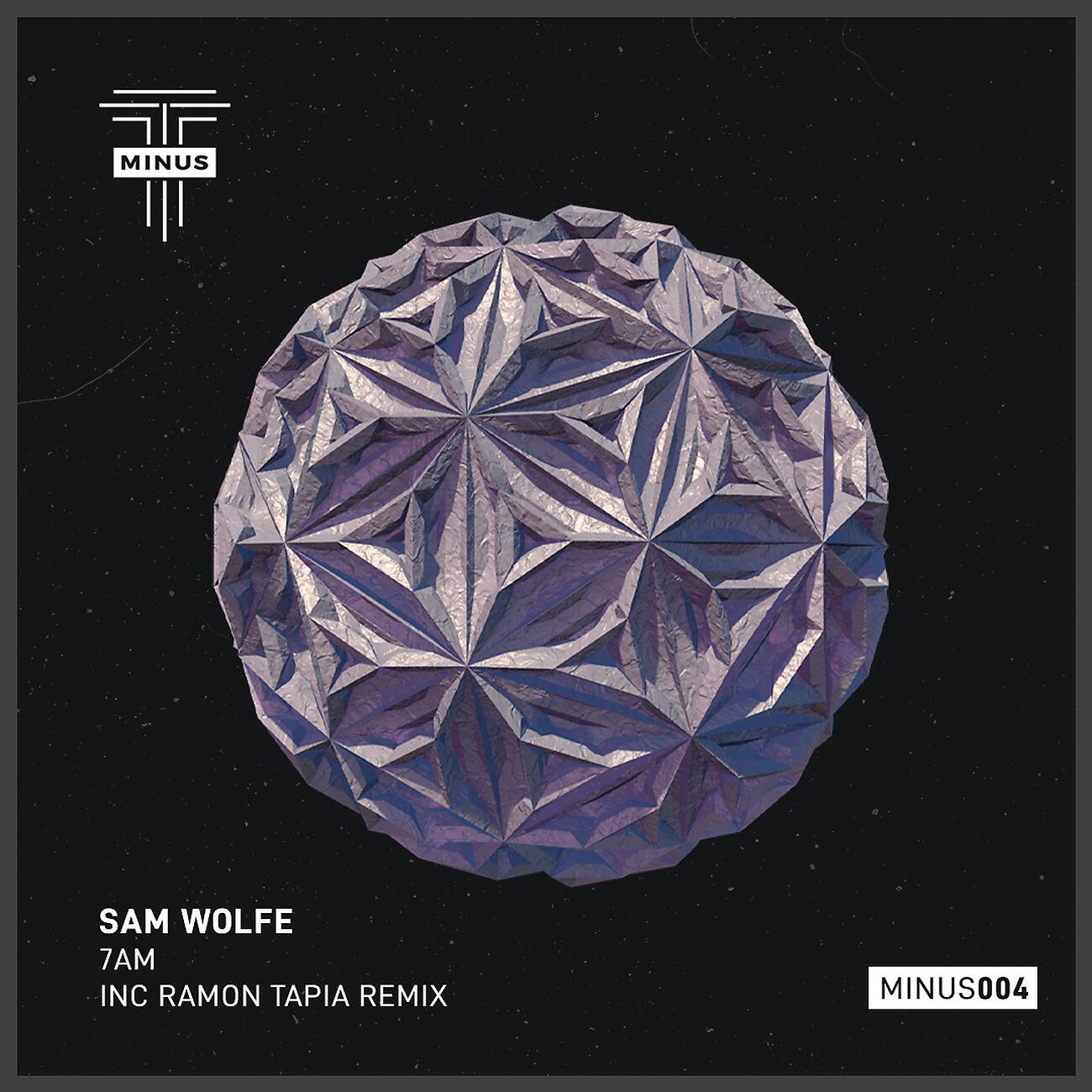SAM WOLFE - Mind State
