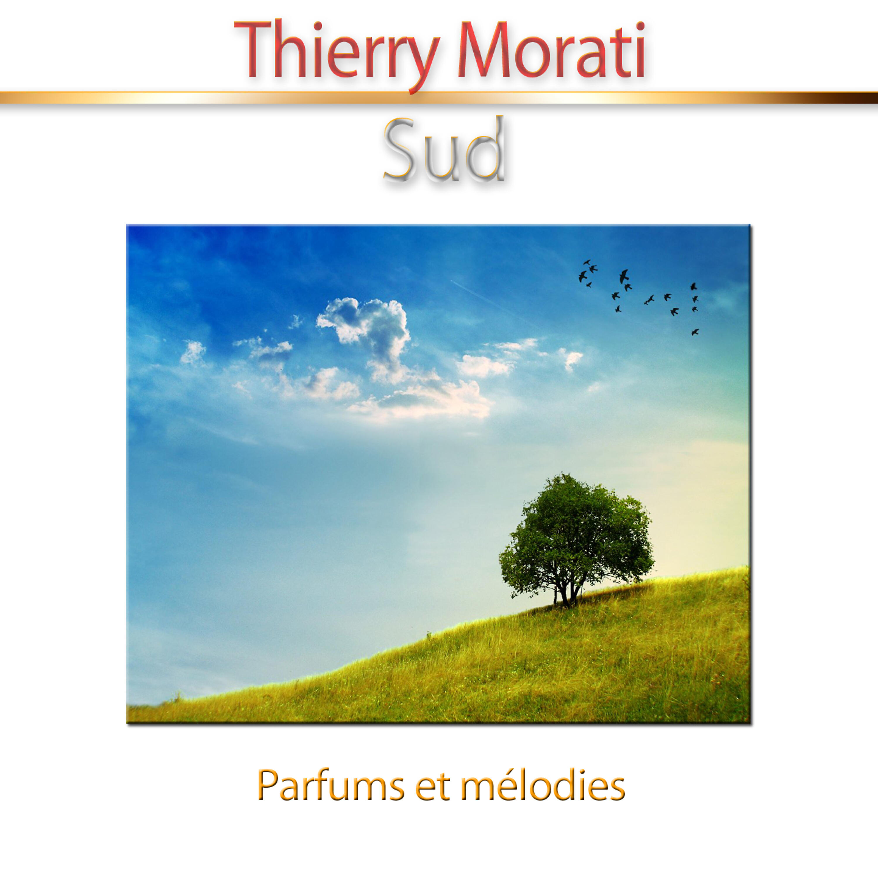 Thierry Morati - Soleil de sable