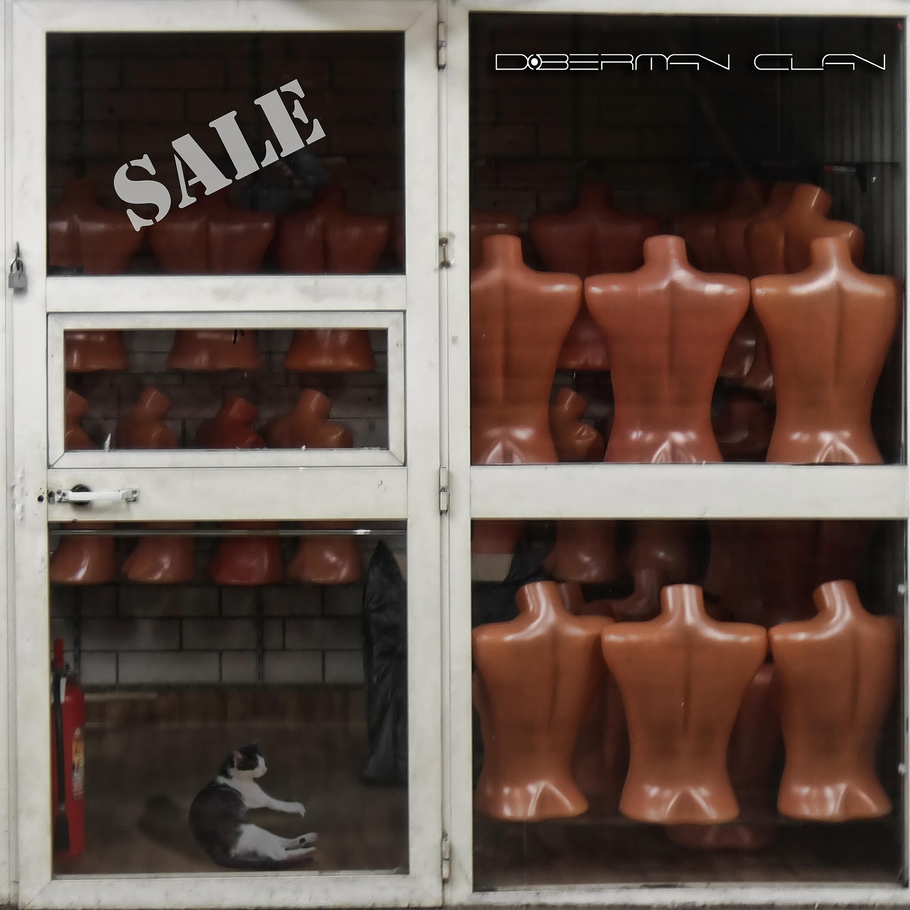 Doberman Clan - Cloud Blues