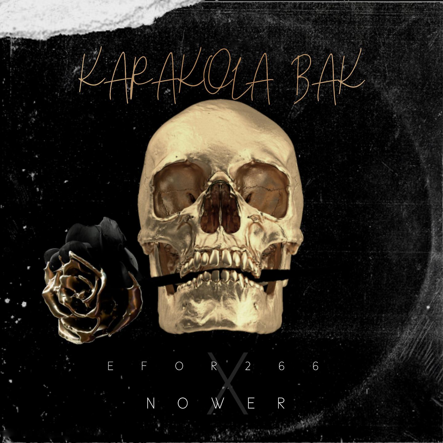 Постер альбома Karakola Bak