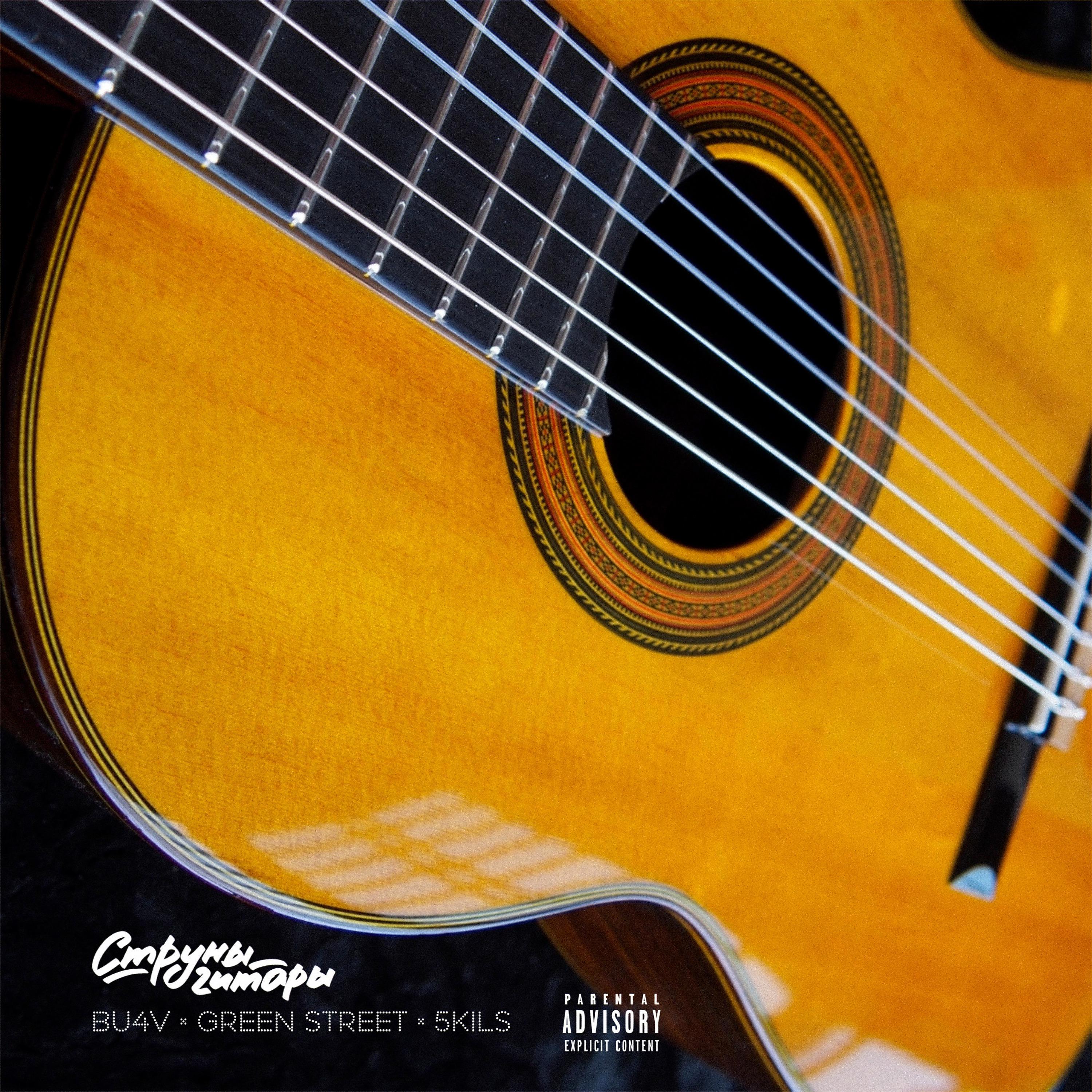 Постер альбома Струны гитары