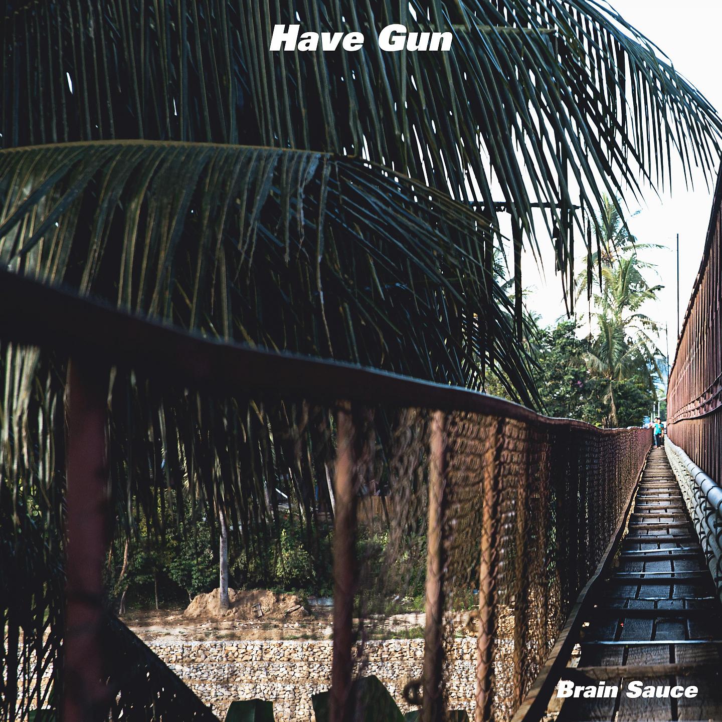 Постер альбома Have Gun