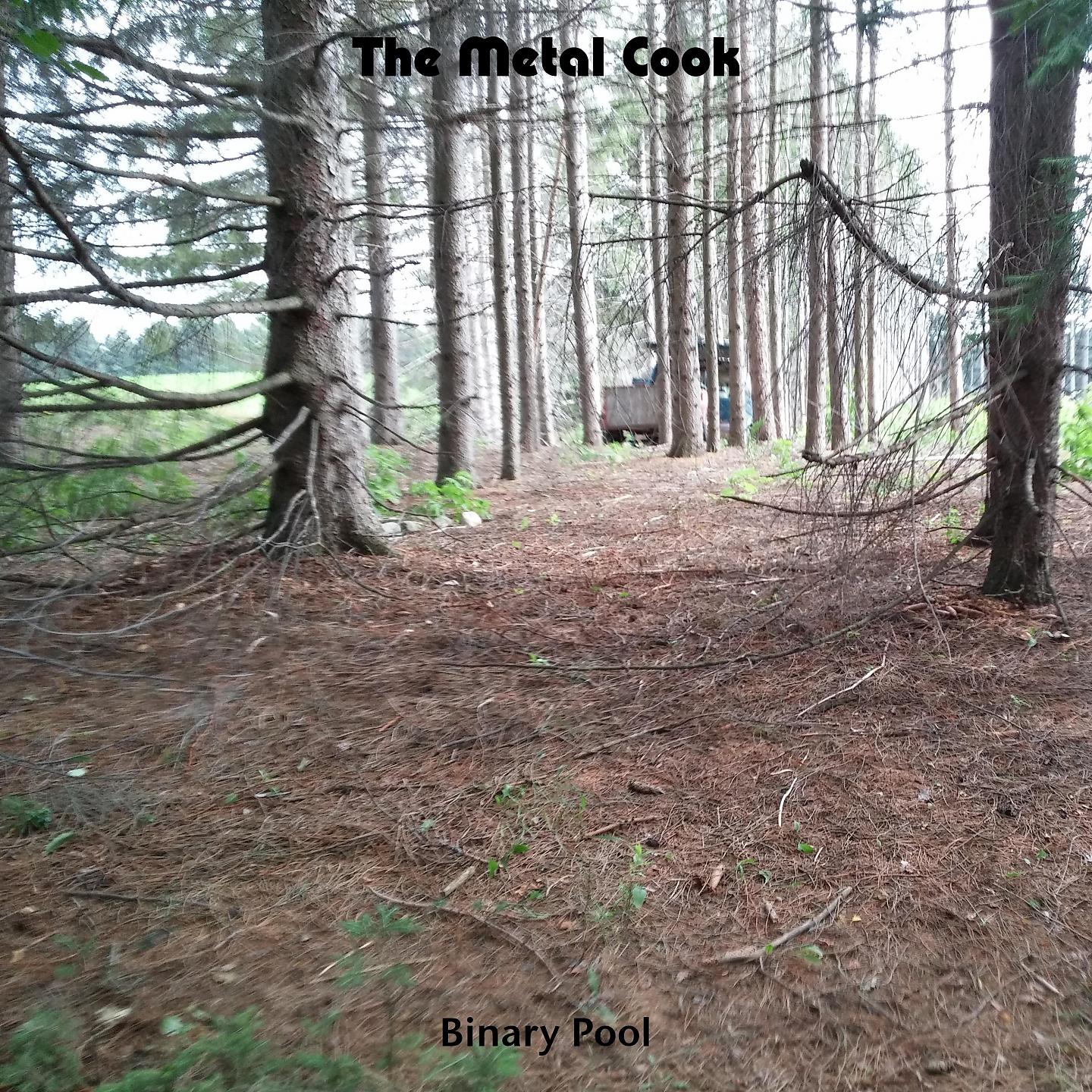 Постер альбома The Metal Cook