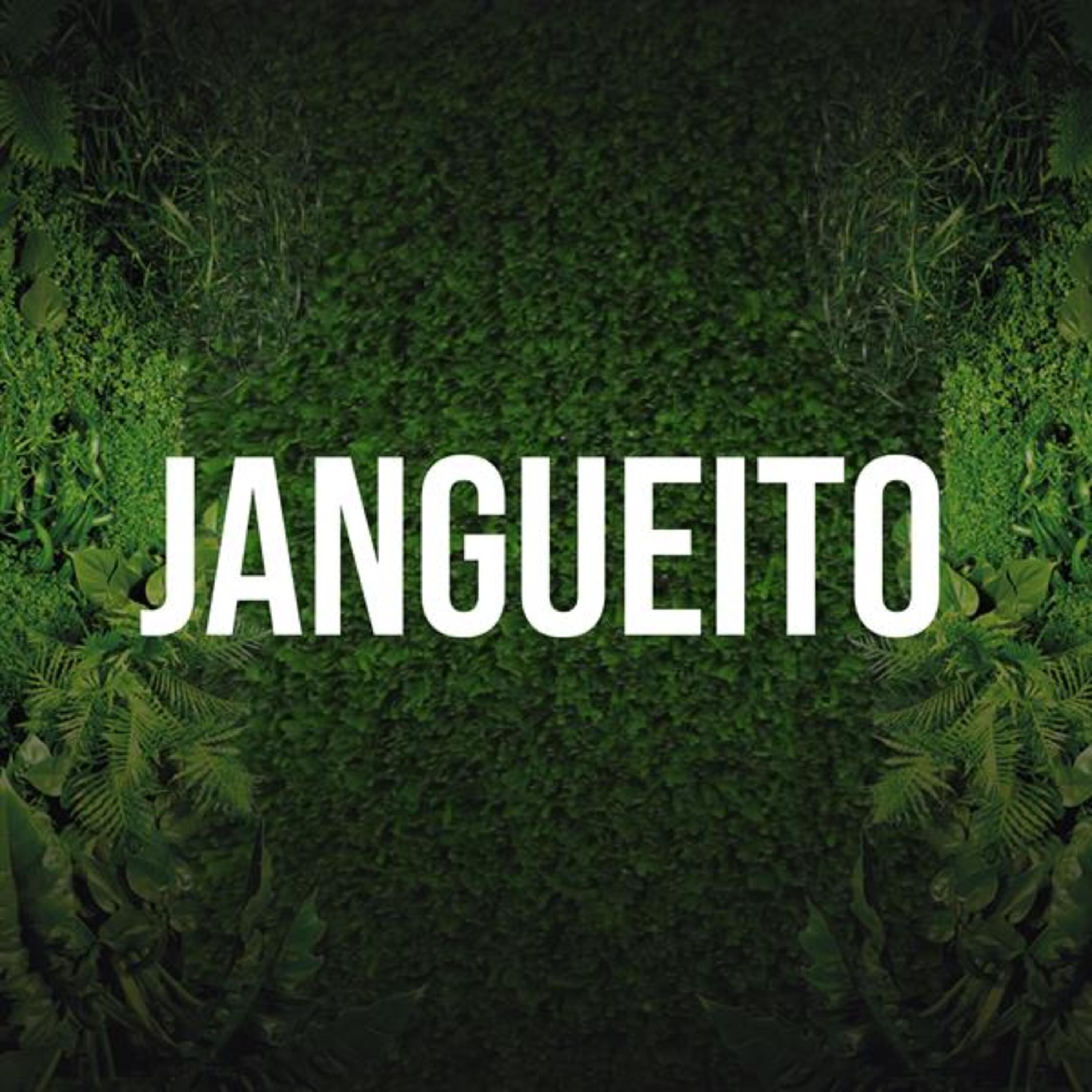 Facu Franco DJ - Jangueito