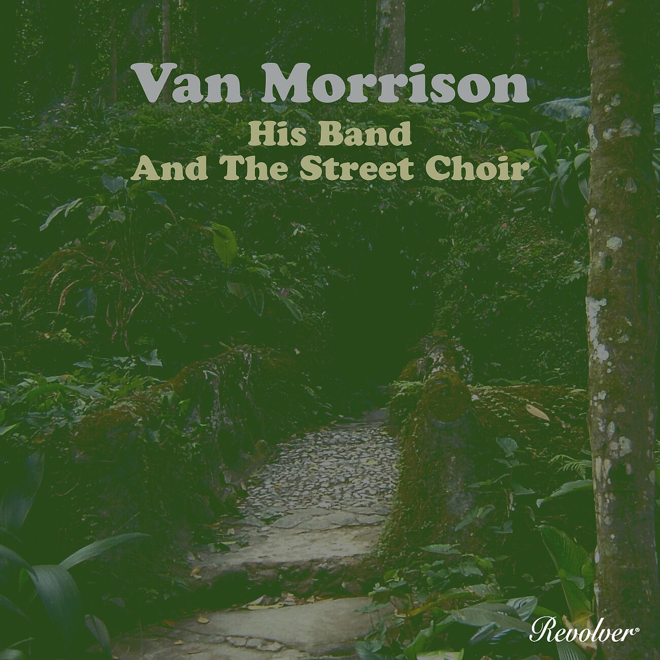 Van Morrison - Street Choir