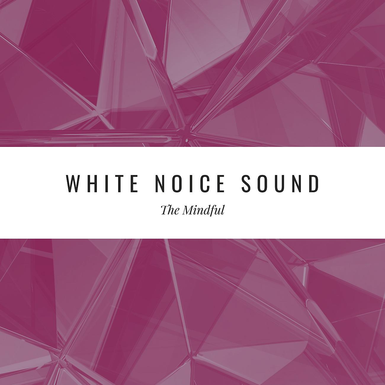 Постер альбома White Noice Sound