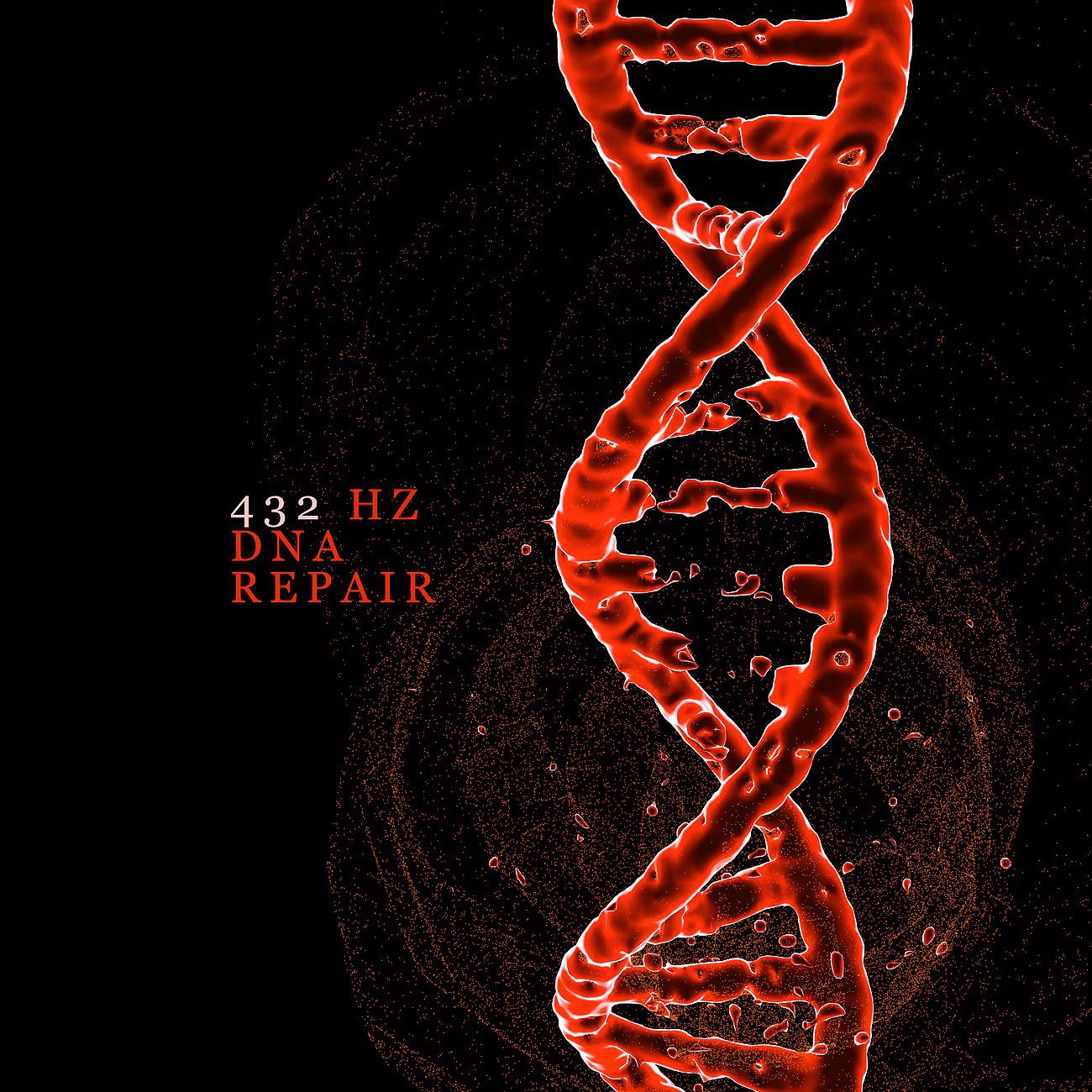 Постер альбома 432 Hz DNA Repair