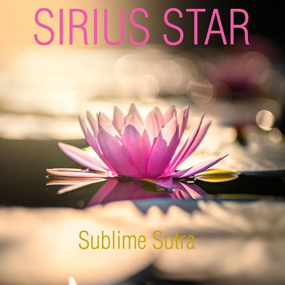 Sirius Star - Practice of Diligence