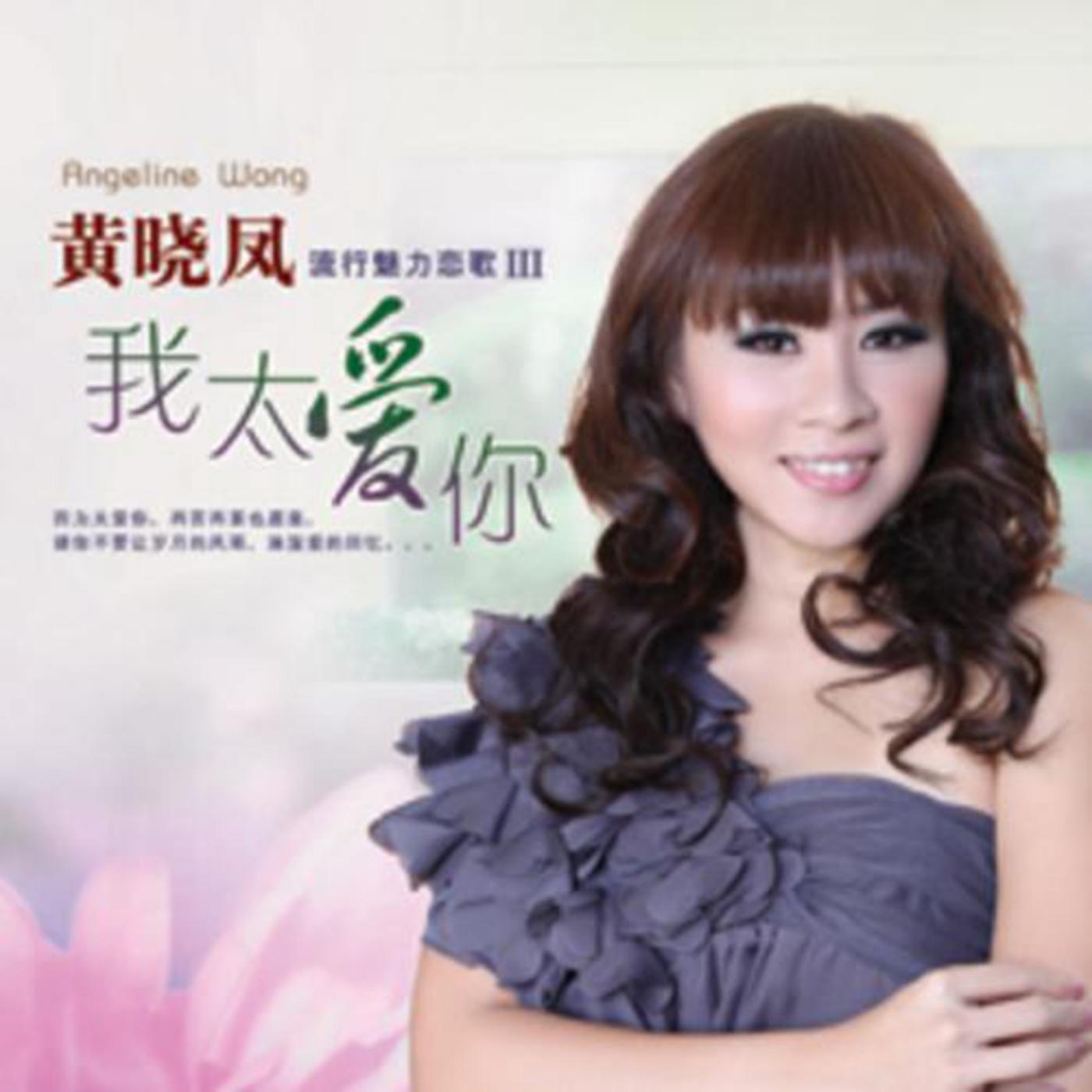 Постер альбома Liu Xing Mei Li Lian Ge III