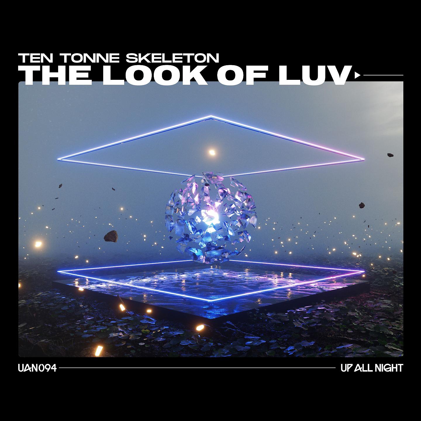 Постер альбома The Look Of Luv