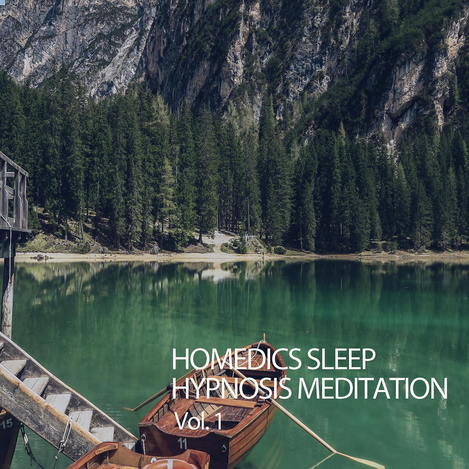 Постер альбома Homedics Sleep Hypnosis Meditation Vol. 1