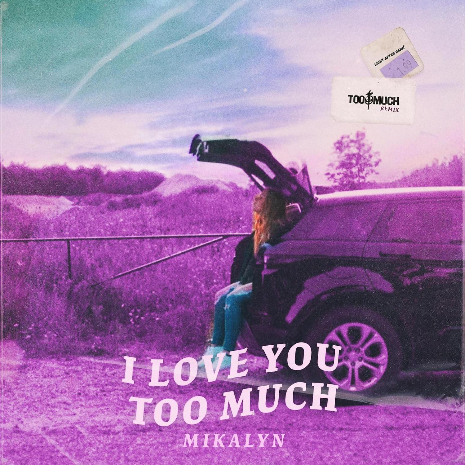 Постер альбома I Love You Too Much (Too Much Remix)