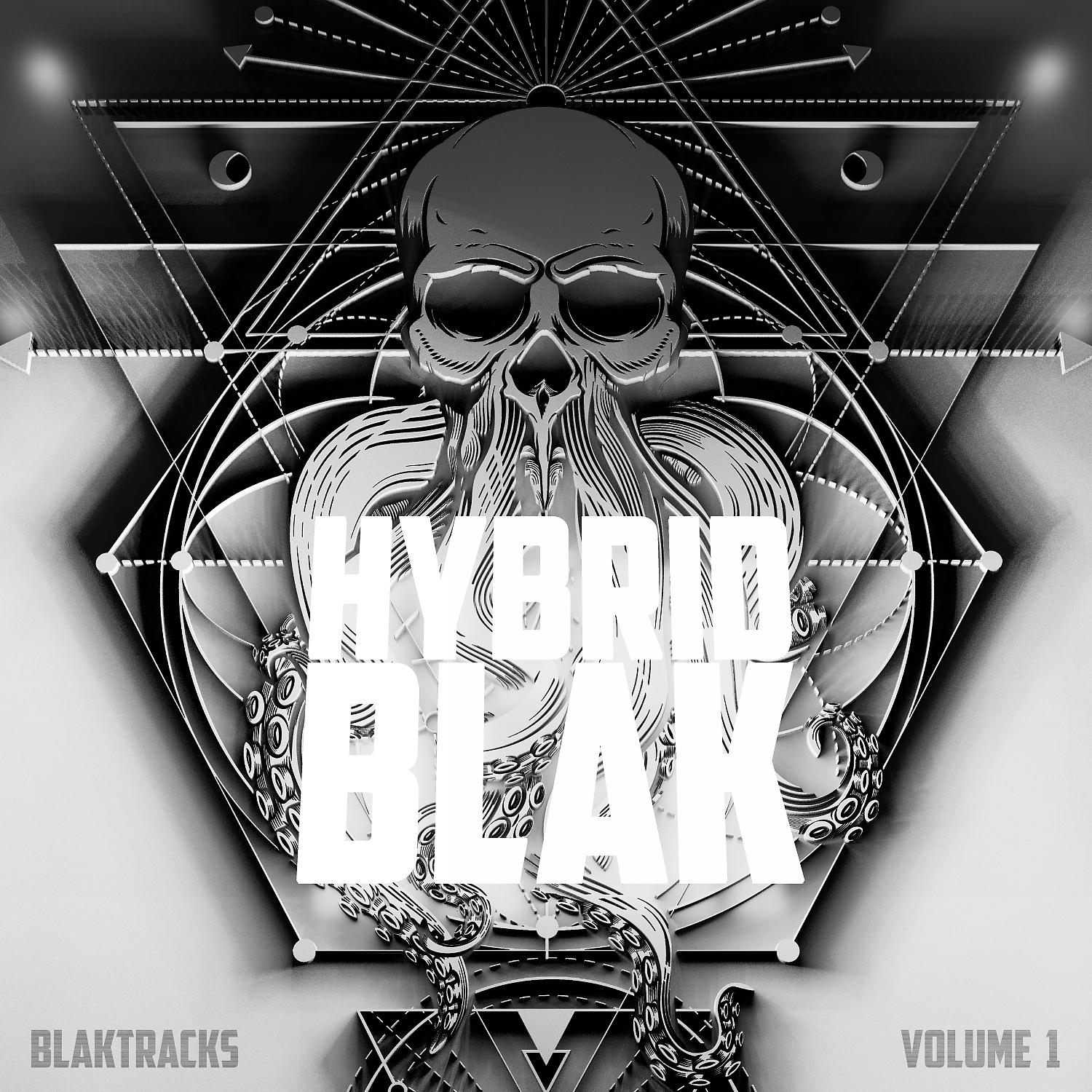 Постер альбома HYBRID BLAK : BLAKTRACKS, VOL. 1