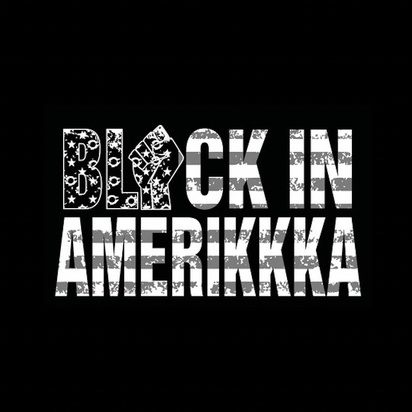 Постер альбома Black in Amerikkka