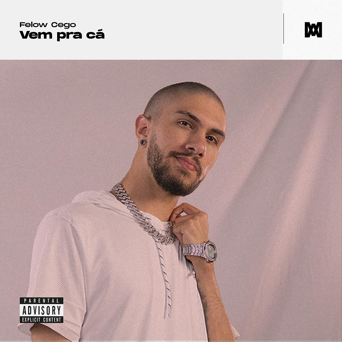Постер альбома Vem Pra Cá