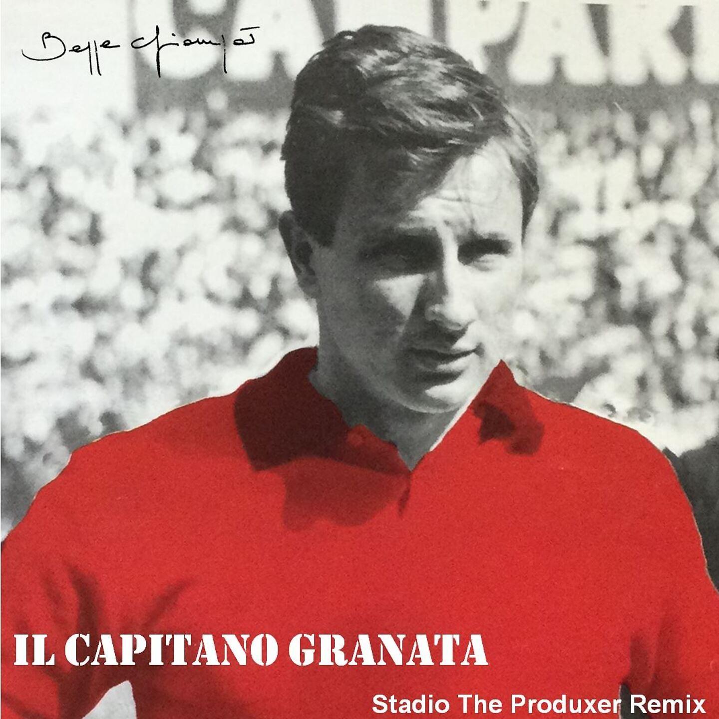 Постер альбома Il capitano Granata