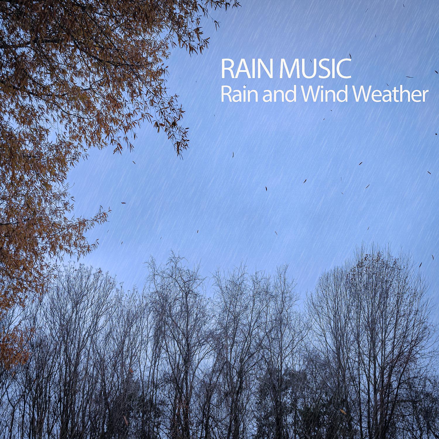 Постер альбома Rain Music: Rain and Wind Weather