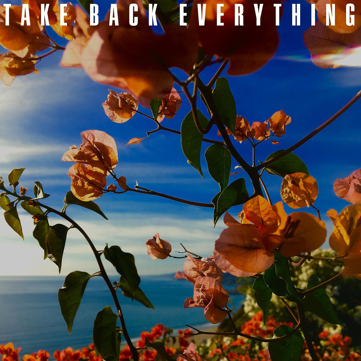Постер альбома Take Back Everything