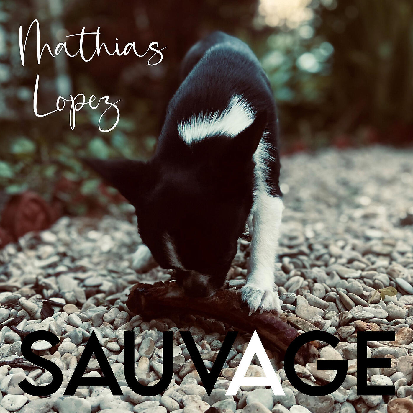 Mathias LOPEZ - Ilang Ilang