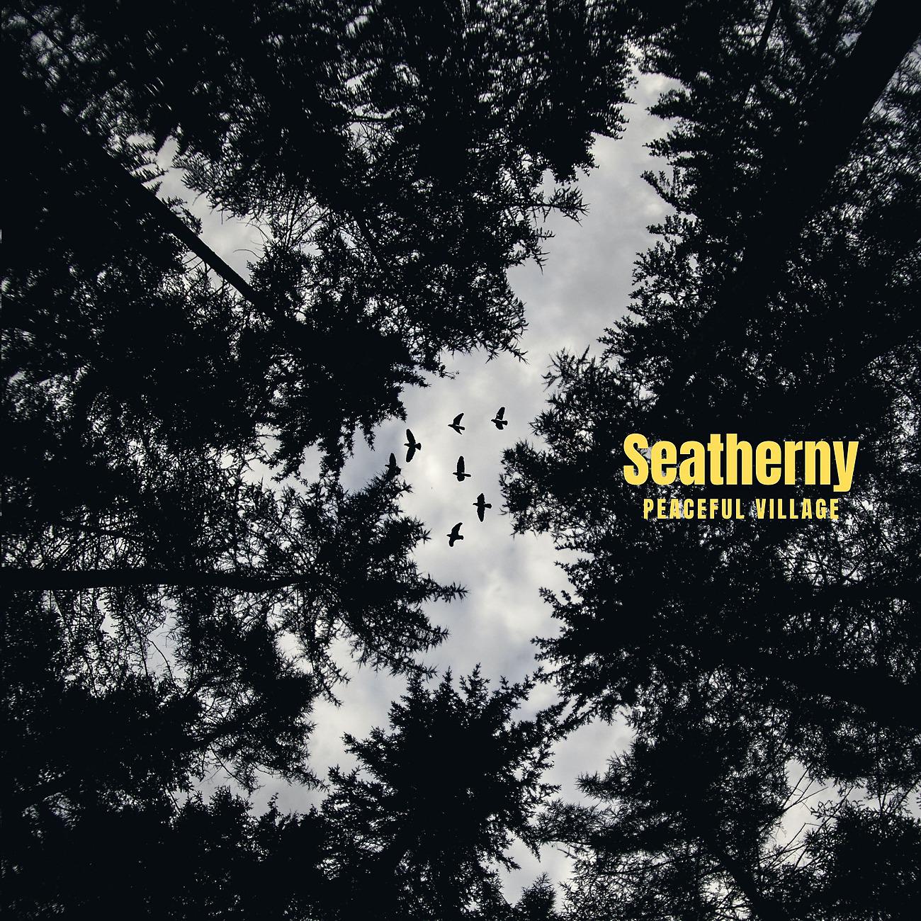 Постер альбома Seatherny