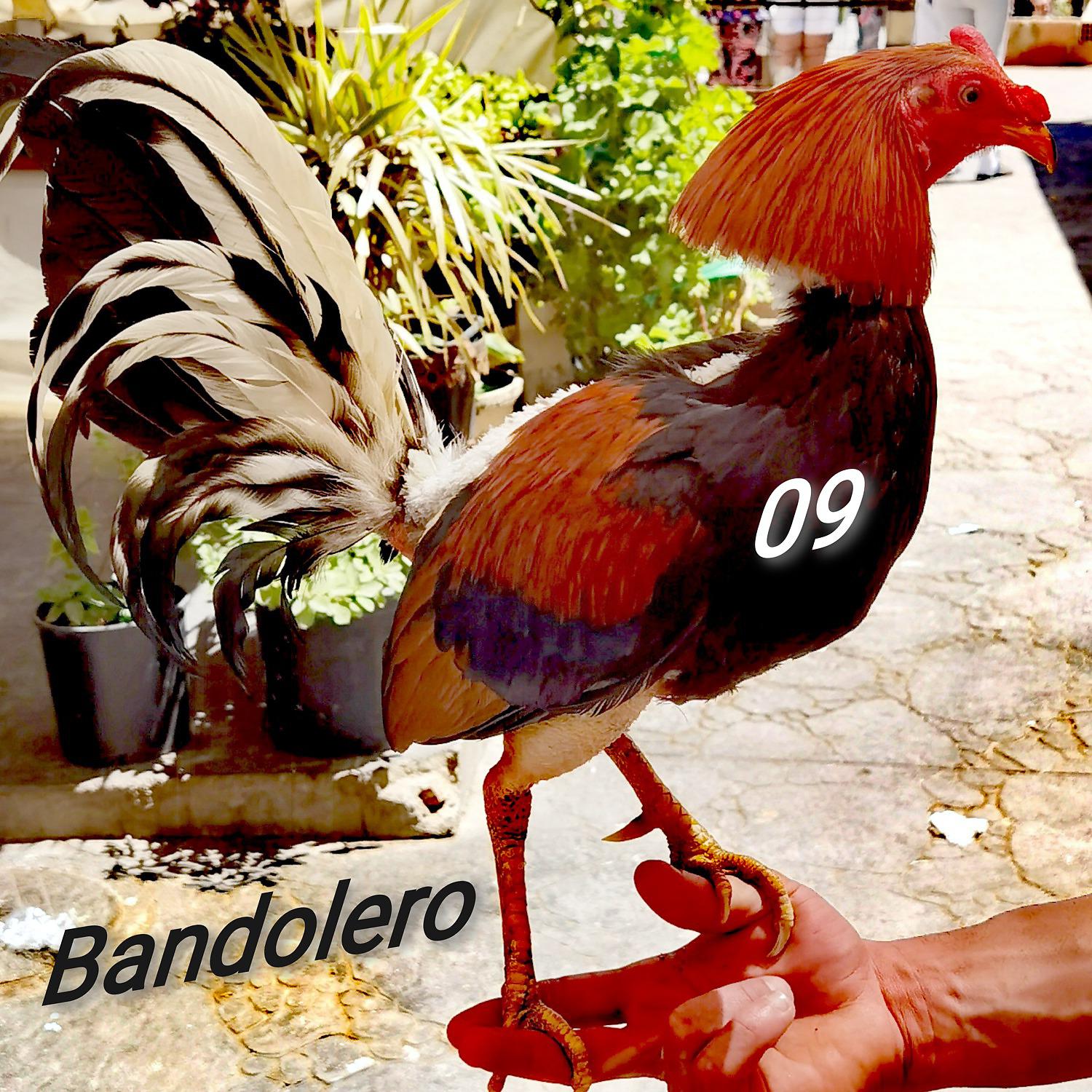 Постер альбома Bandolero09