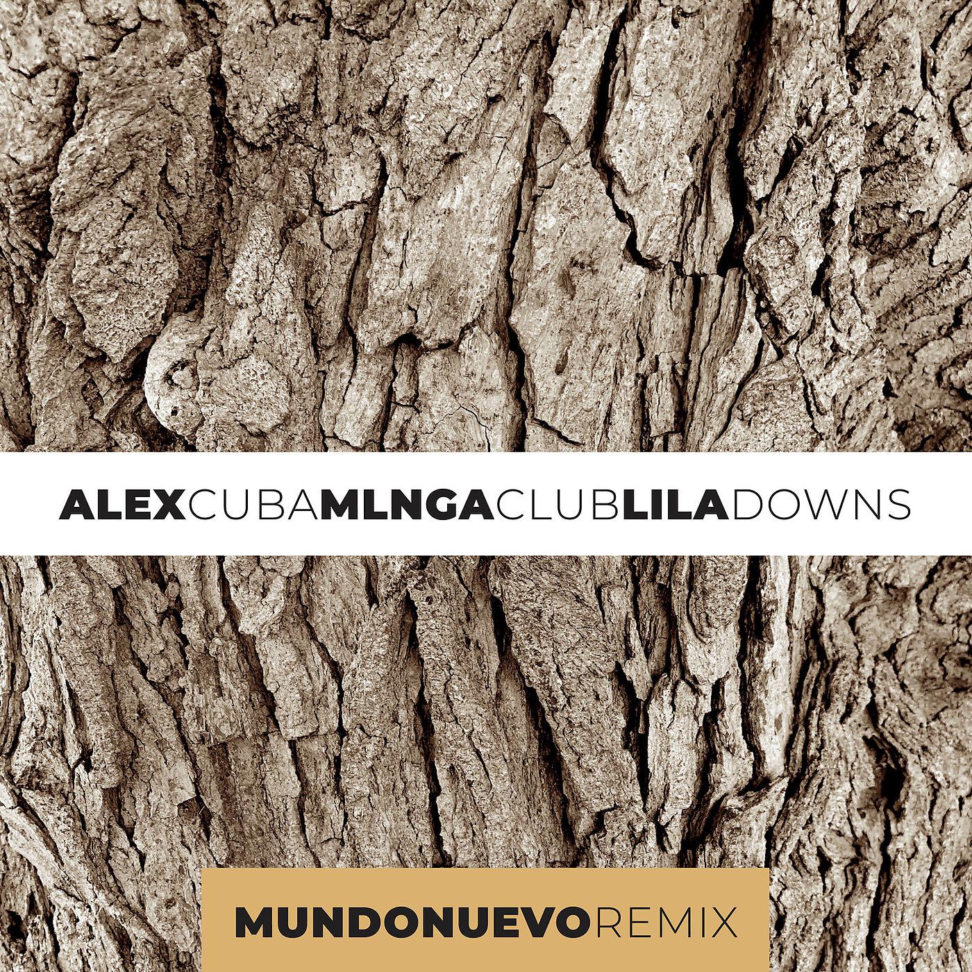 Постер альбома Mundo Nuevo (Remix)