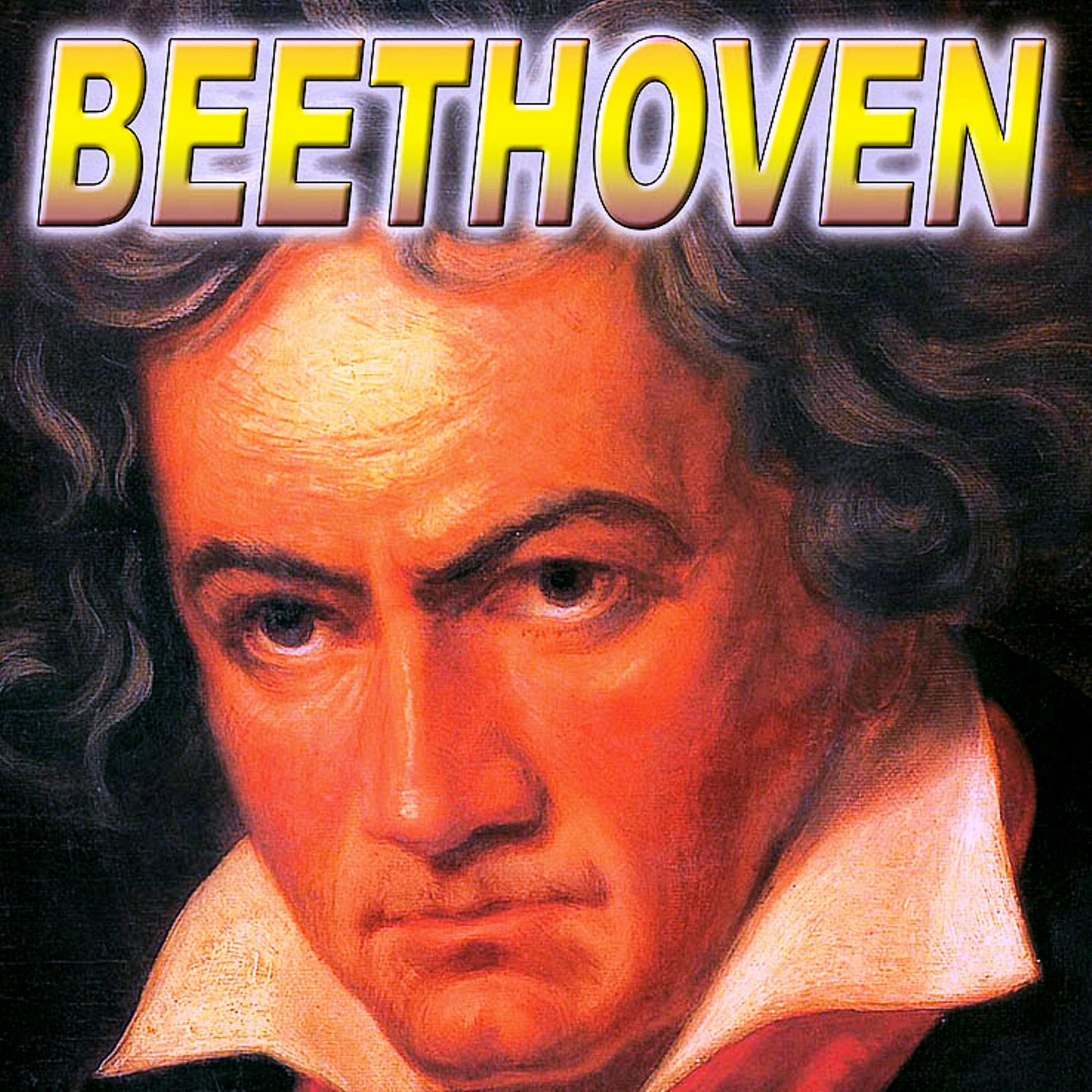 Постер альбома Ludwing Van Beethoven The Best