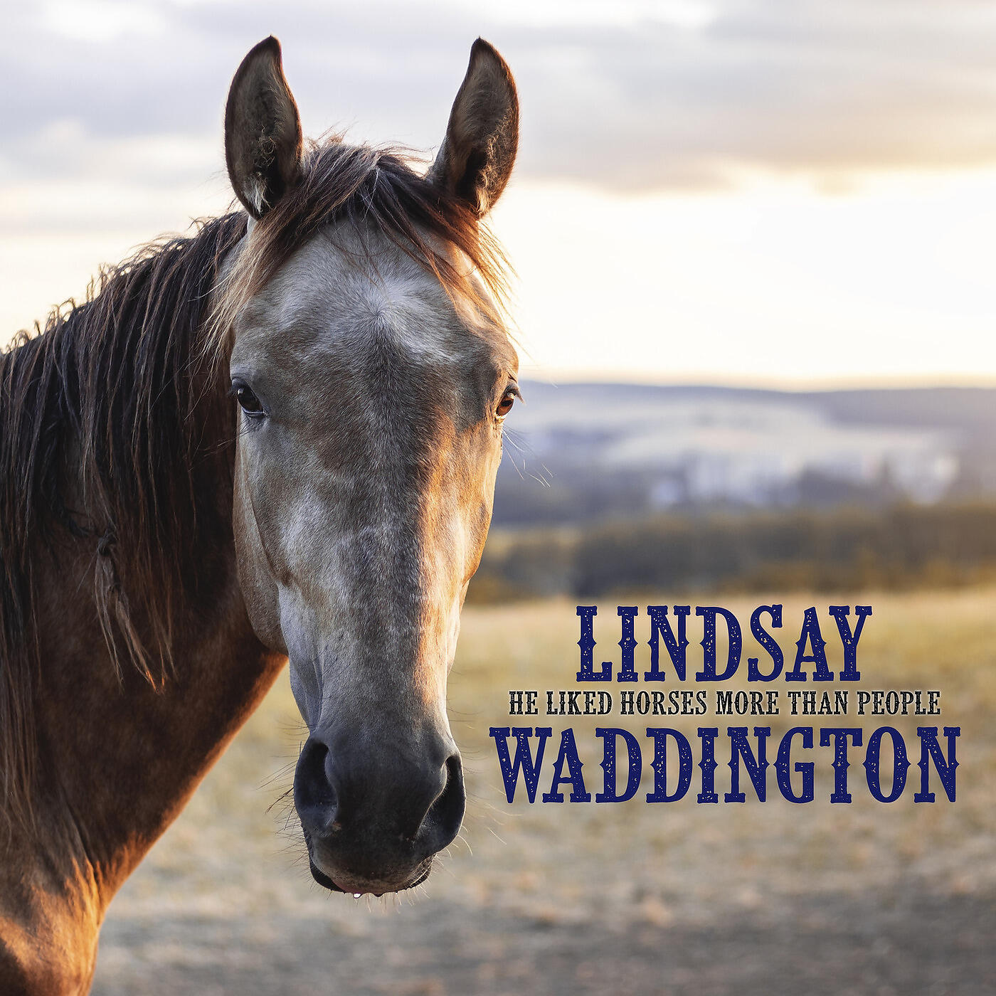 Lindsay Waddington - He Liked Horses More Than People