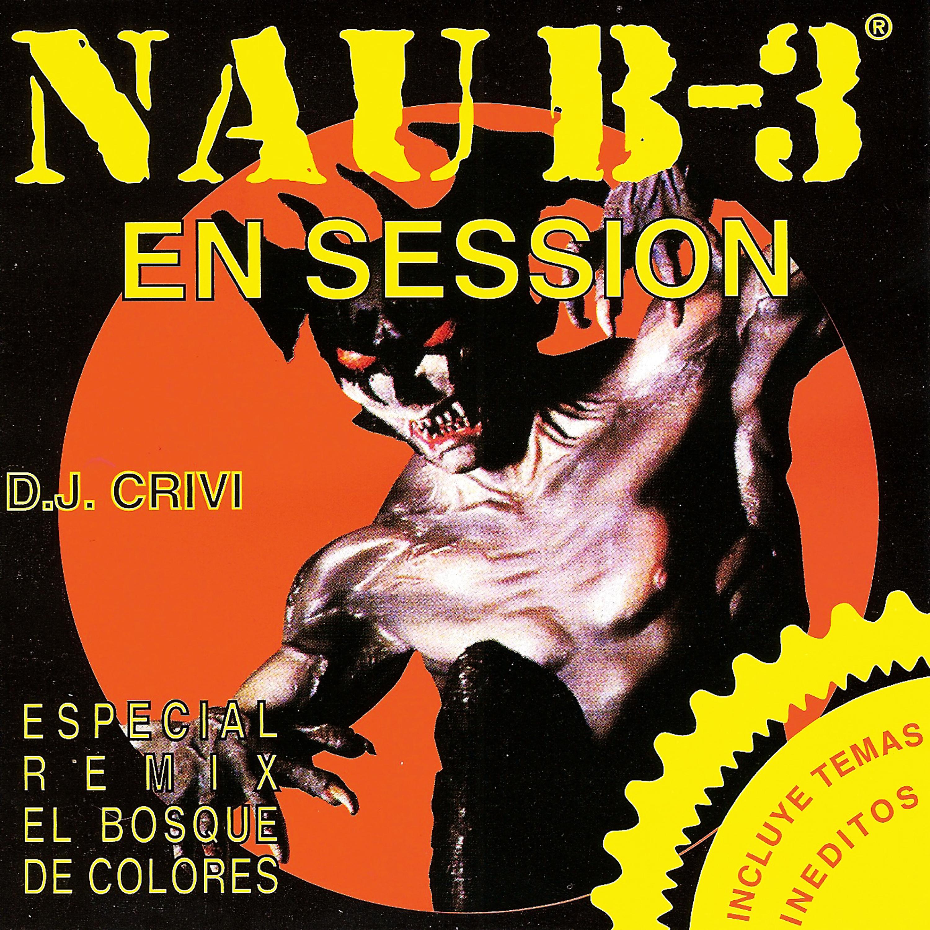 Постер альбома Nau B-3 en Session By DJ Crivi