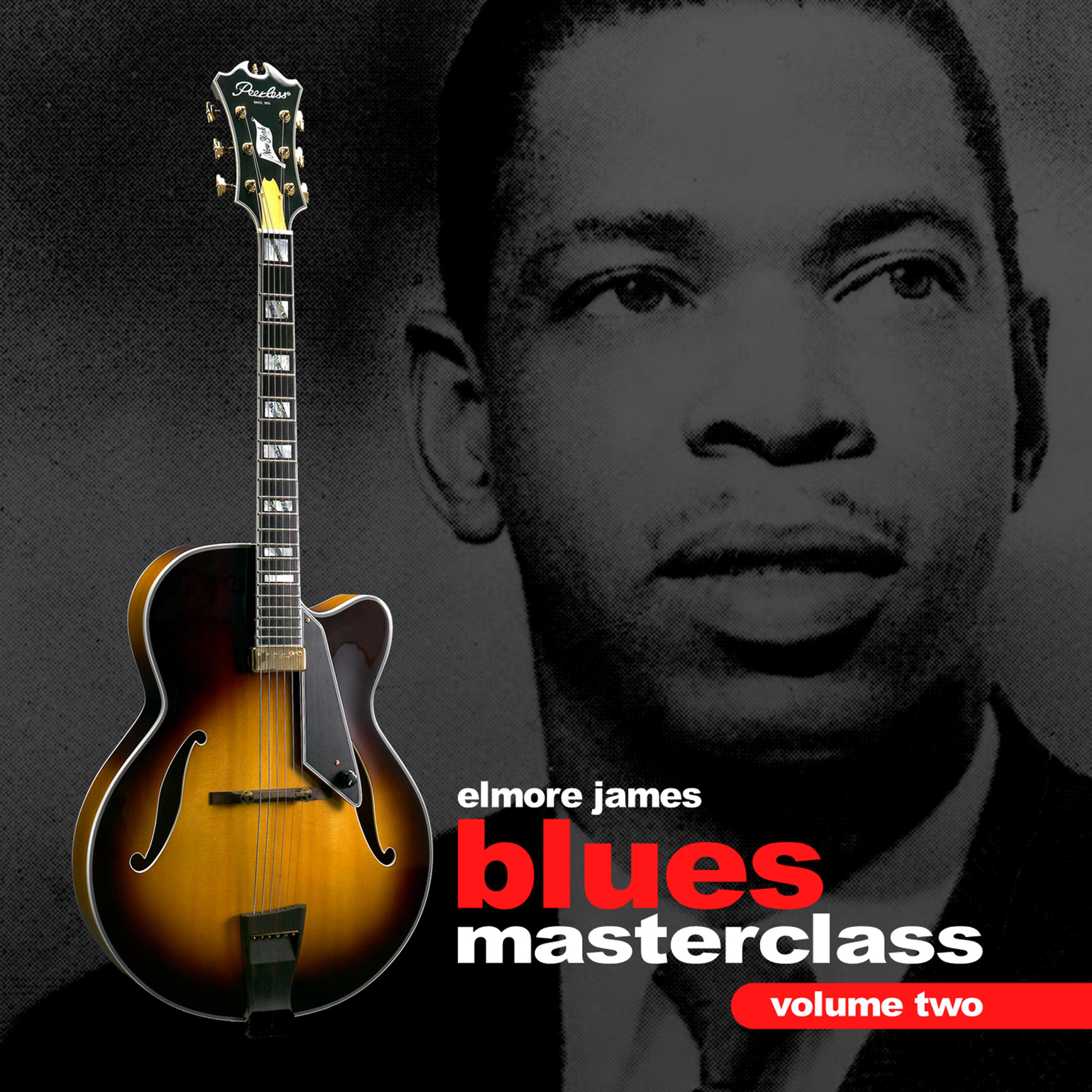 Постер альбома Blues Guitar Masterclass Volume 2