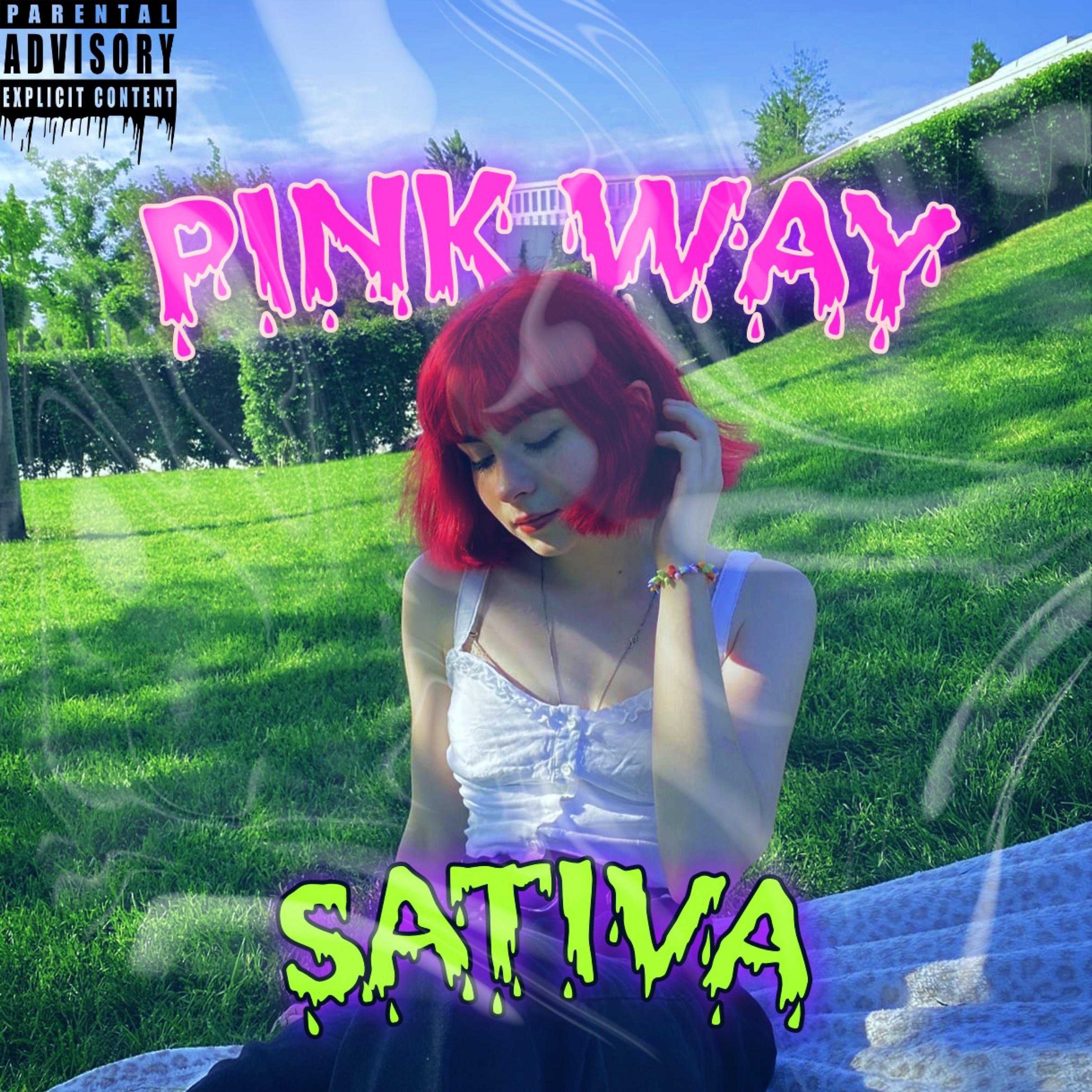 Постер альбома Pink Way