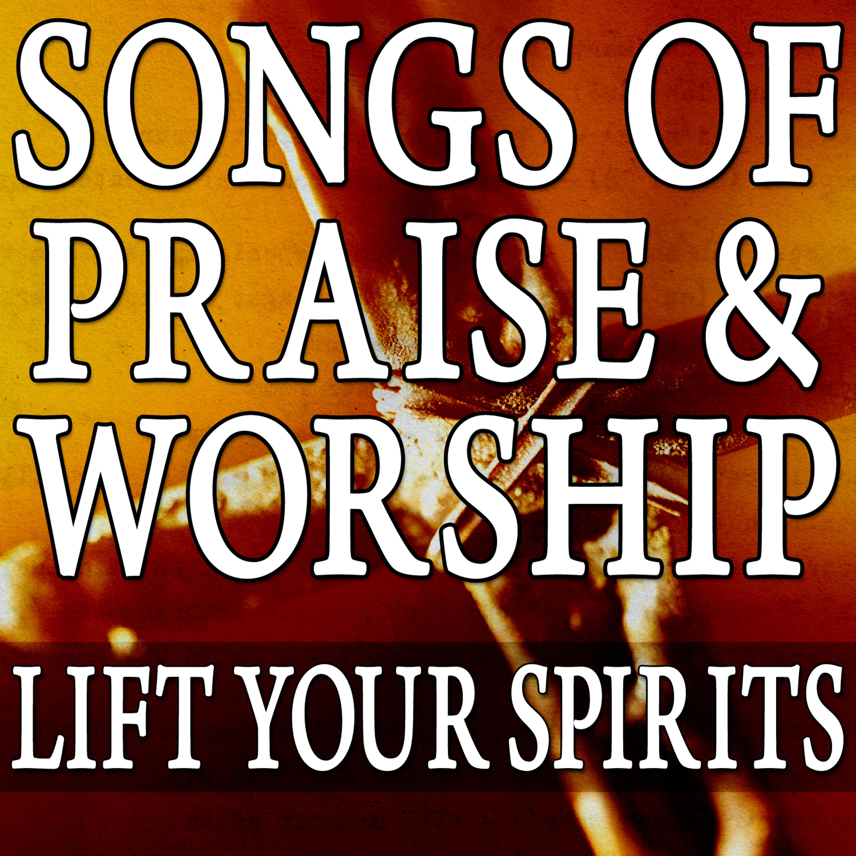 Постер альбома Songs Of Praise & Worship (Lift Your Spirits)