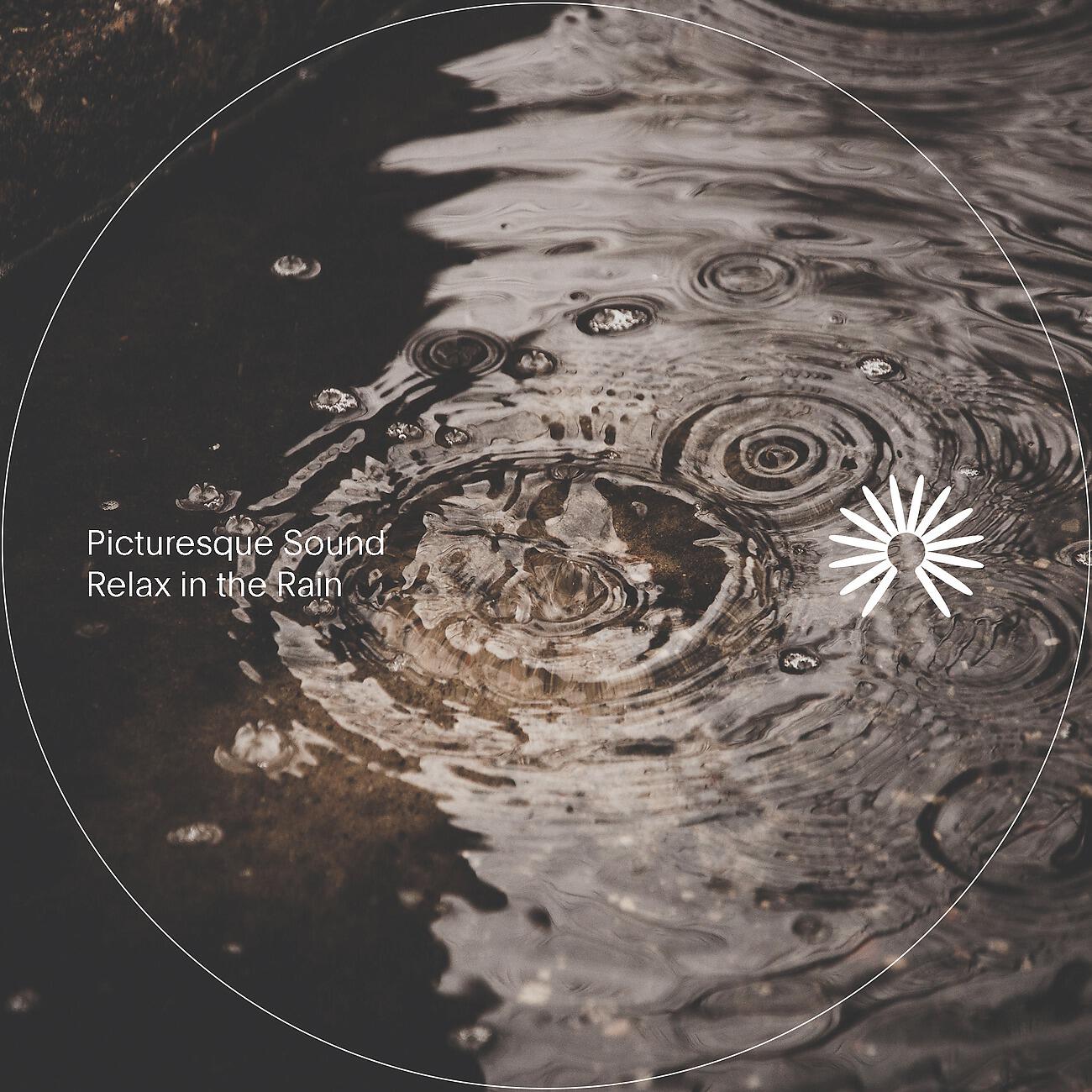 Picturesque Sound - Perpetual Rain