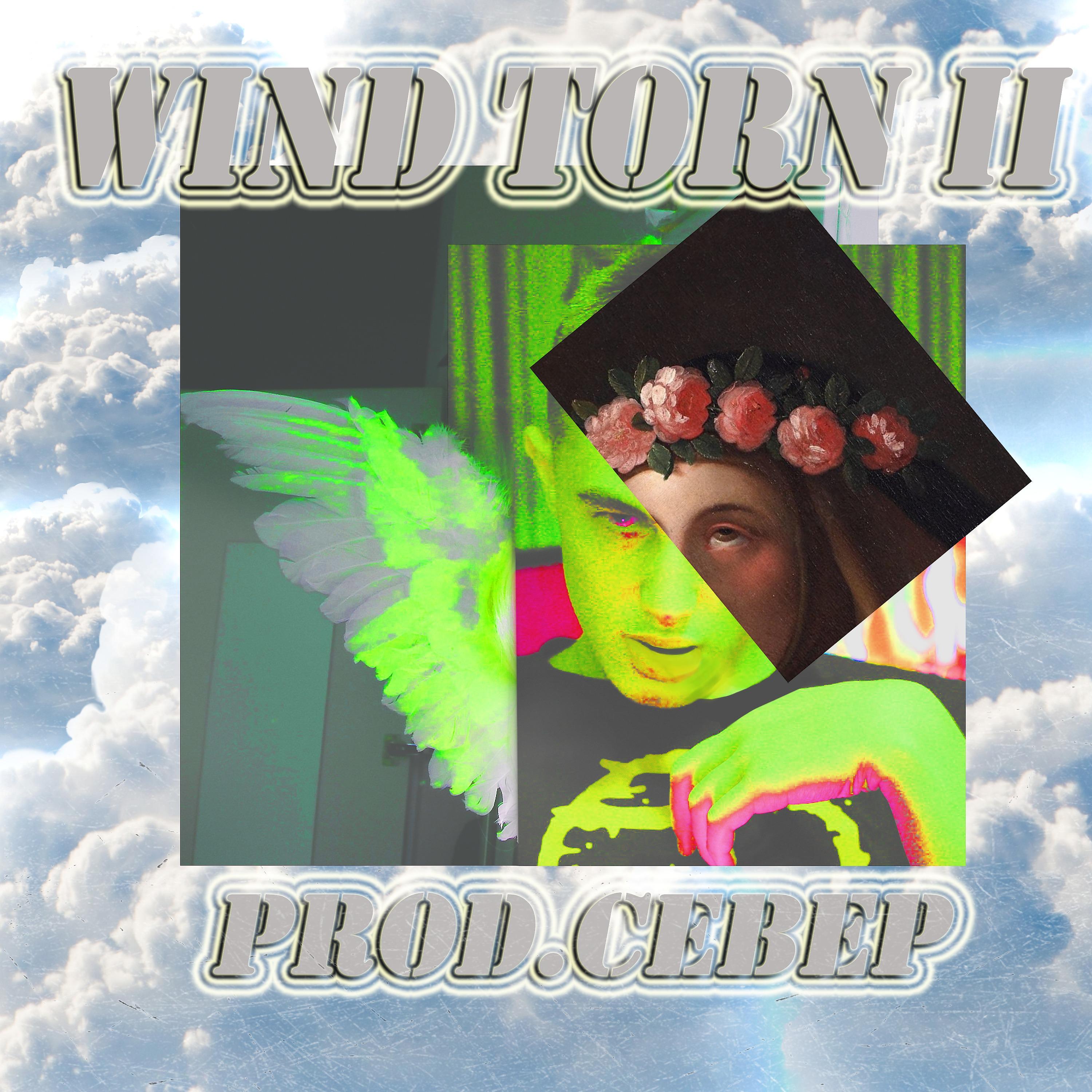 Постер альбома Wind Torn 2