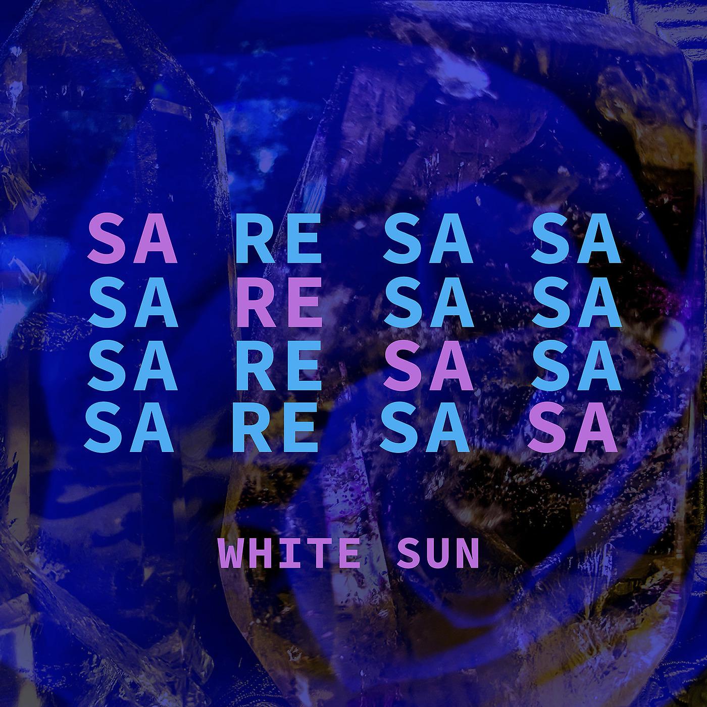 Постер альбома Sa Re Sa Sa