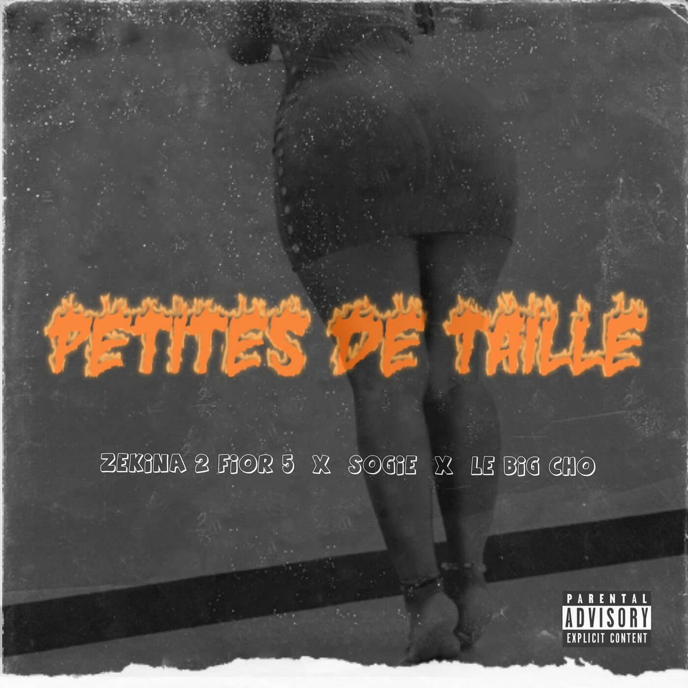 Zekina 2 Fior 5 - Petites De Taille