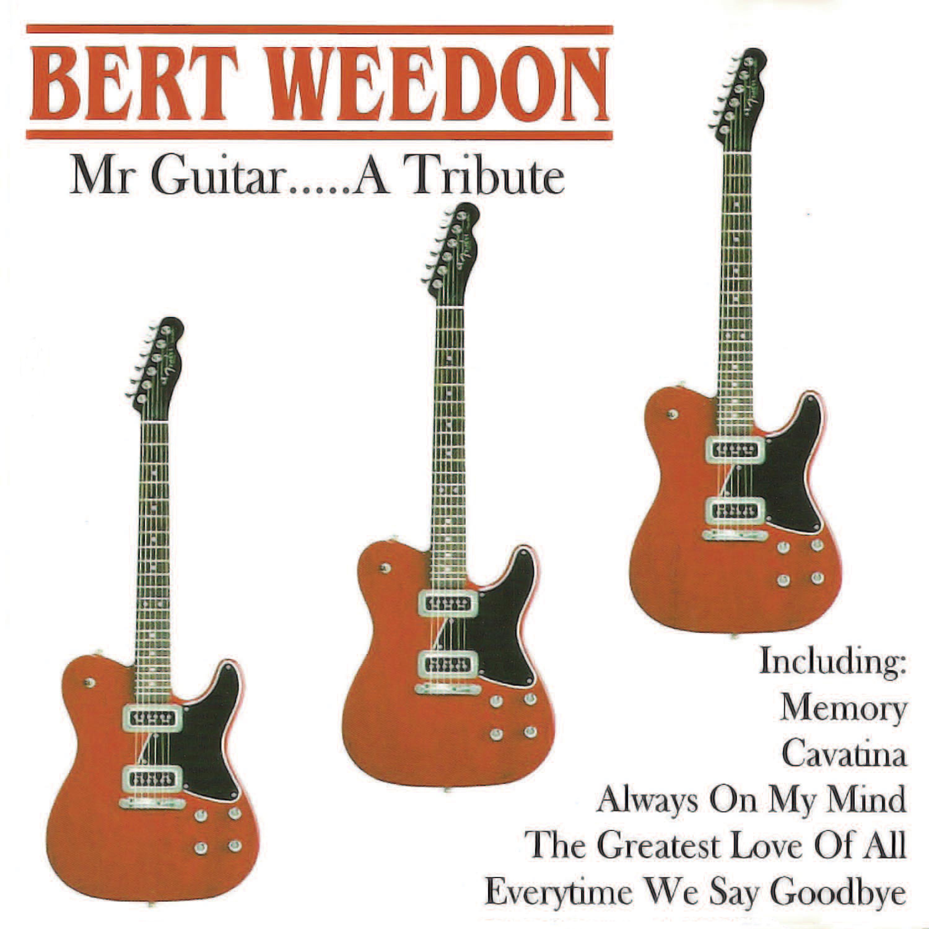 Постер альбома Mr Guitar... A Tribute