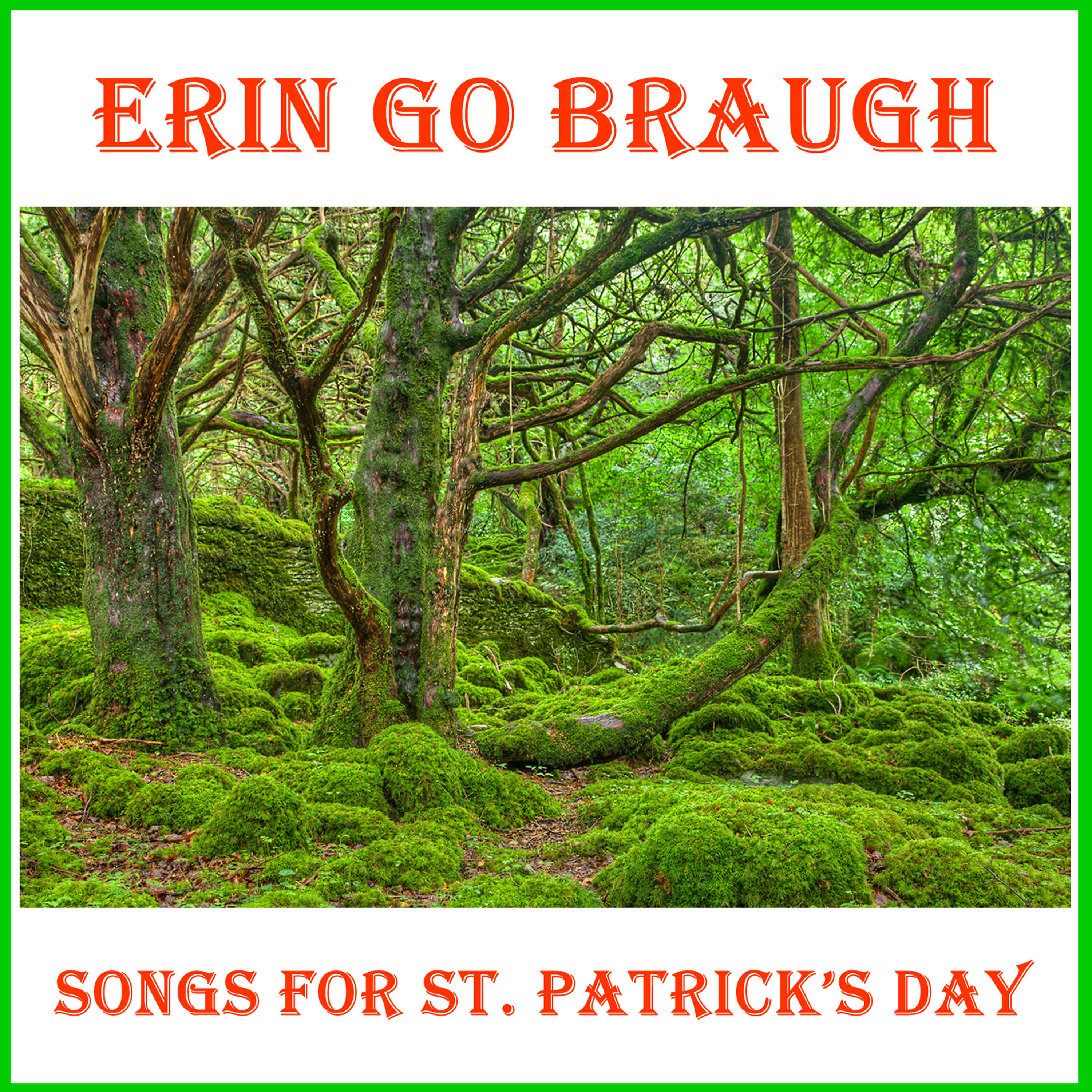 Irish Music Experts - Irish Lullaby (Too-Rah-Loo-Rah-Loo-Rah)