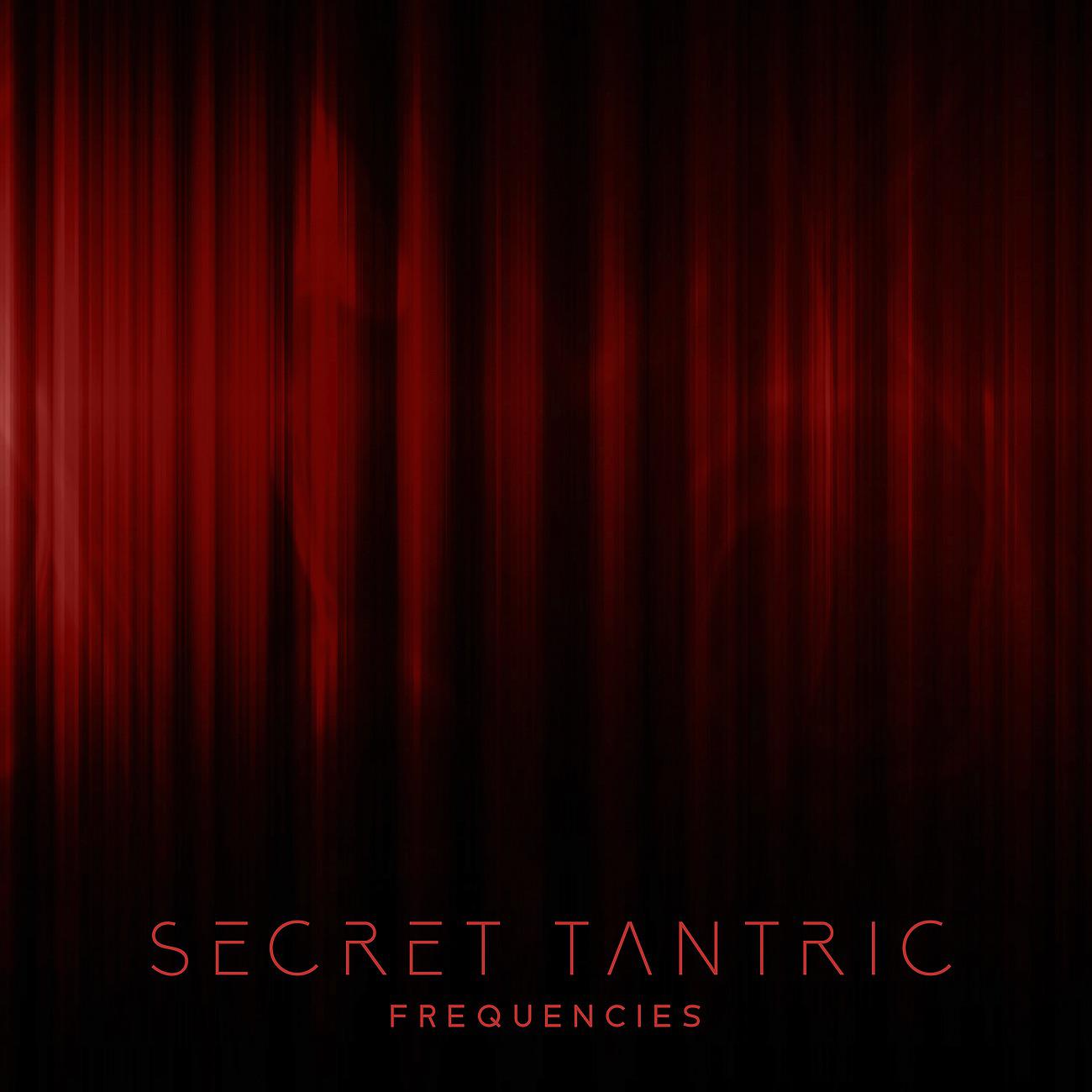 Постер альбома Secret Tantric Frequencies