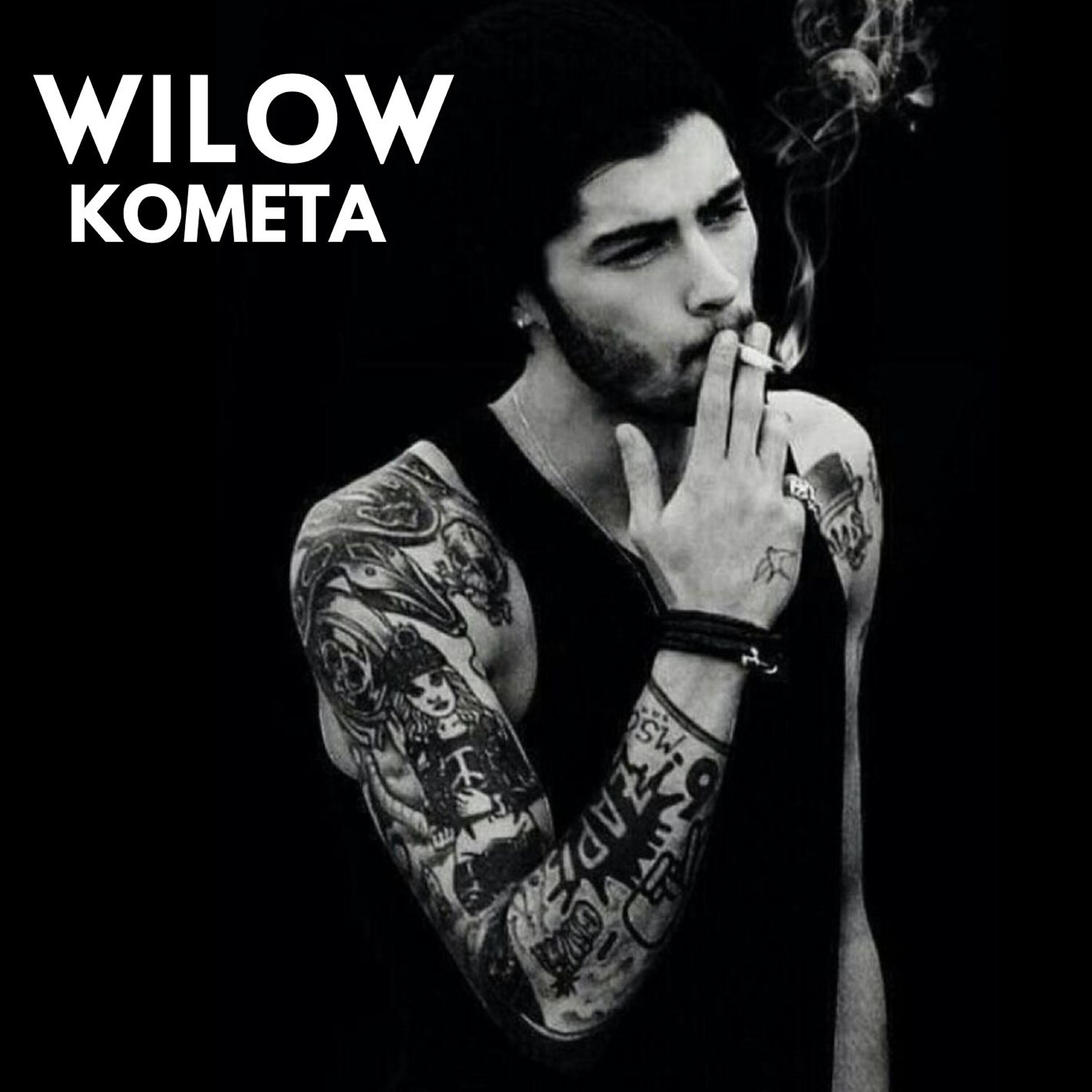 Wilow все песни в mp3