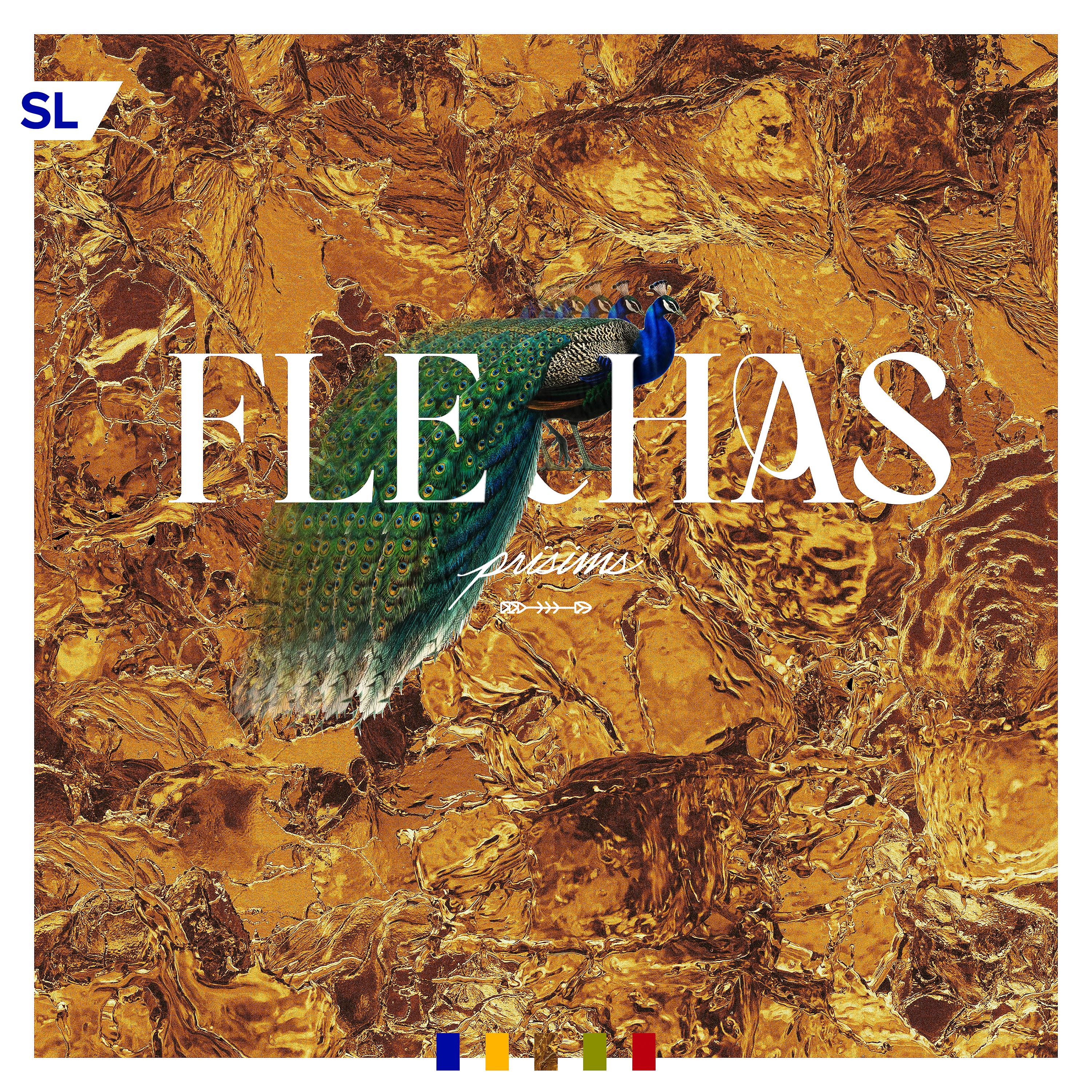 Постер альбома Flechas