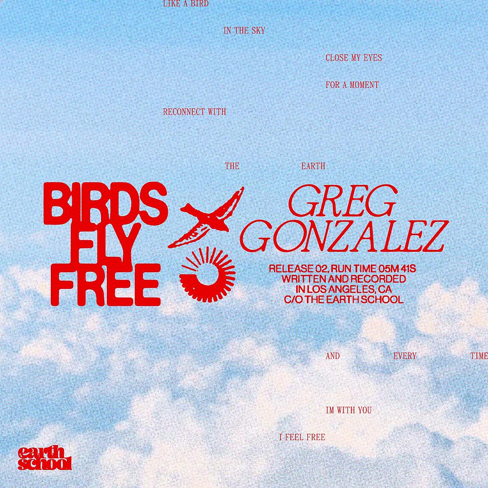 Постер альбома Birds Fly Free