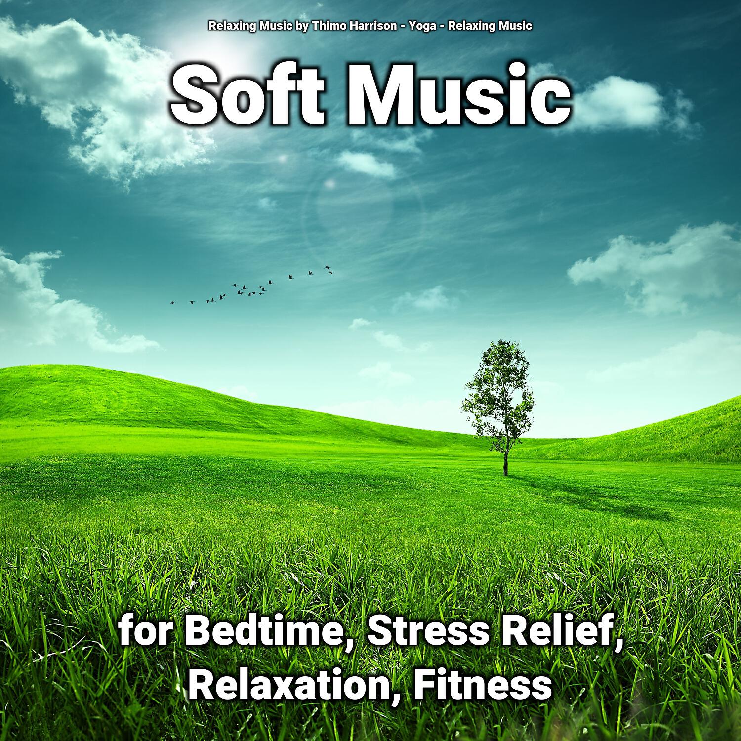 Relaxing Music - Music That Make You Fall Asleep