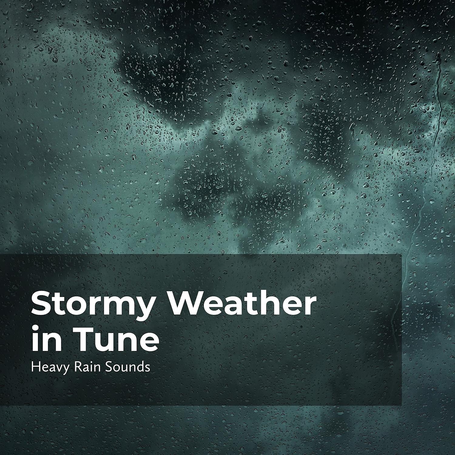 Постер альбома Stormy Weather in Tune