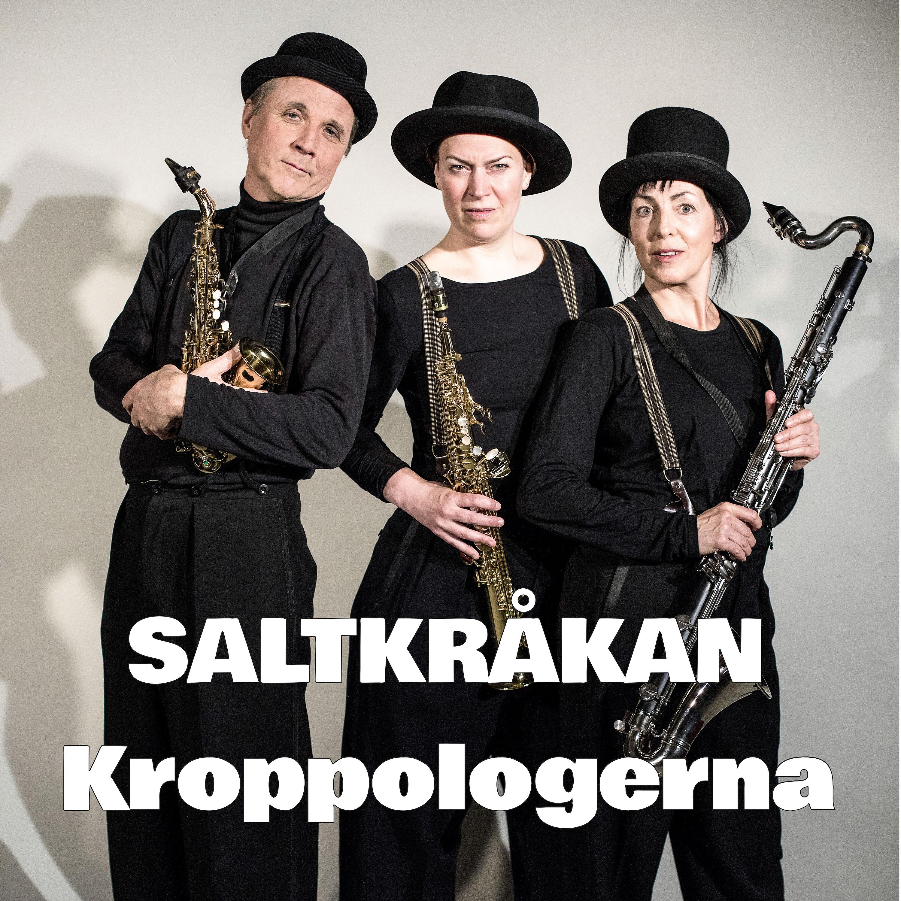 Постер альбома Saltkråkan