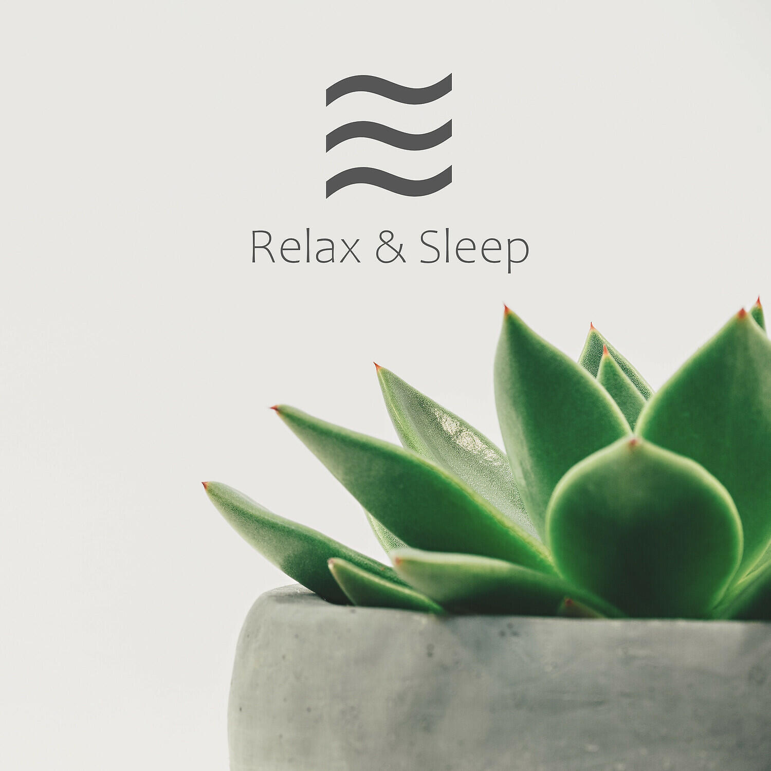 Carl Riley - Still Nature for Still Relax