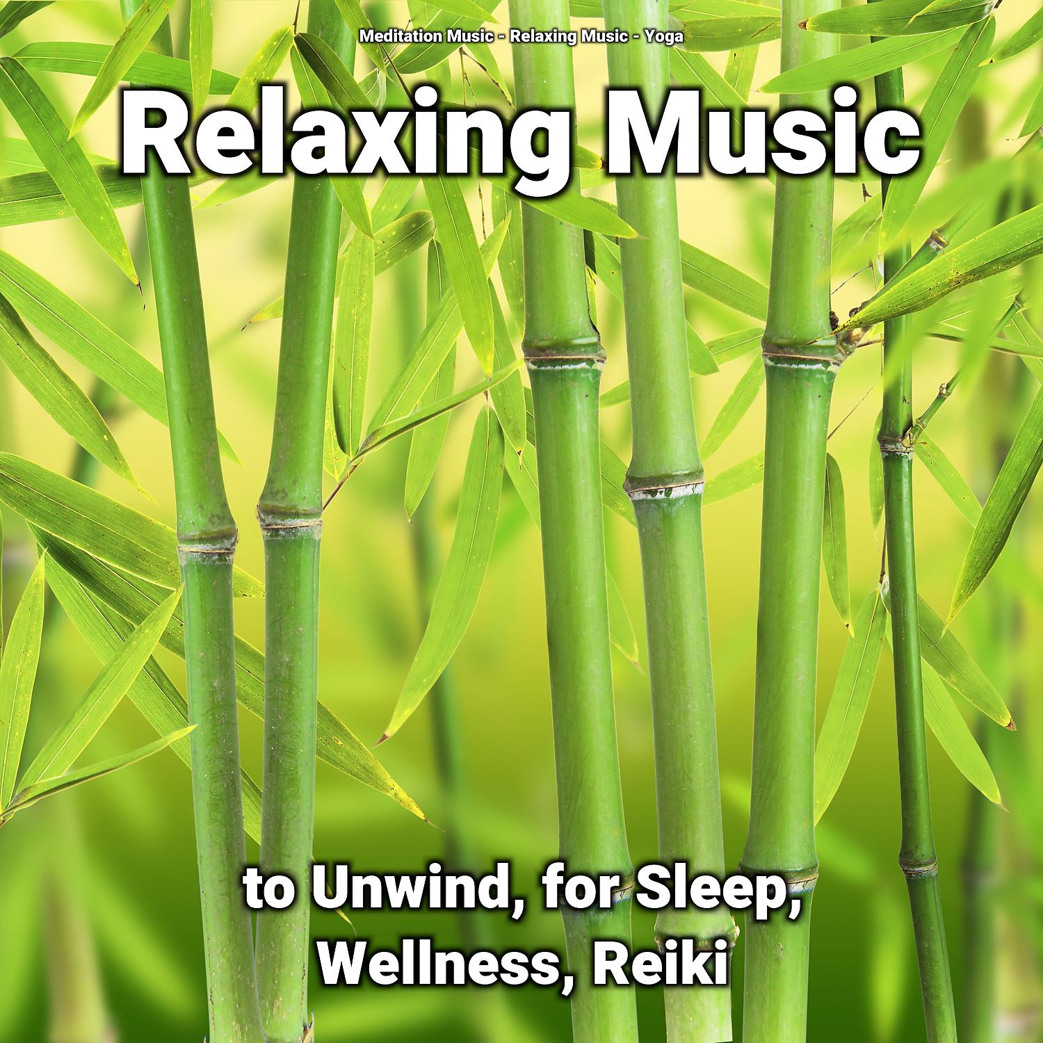 Постер альбома Relaxing Music to Unwind, for Sleep, Wellness, Reiki